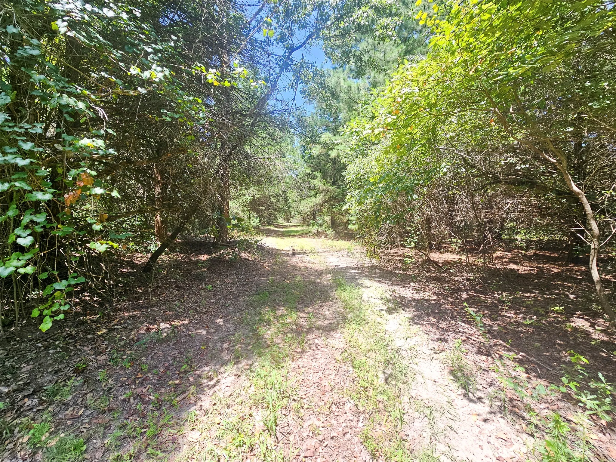 Single Family Residence For Sale in Wood County , 1115 County Road 3160, Quitman, Texas 75783, 3 Bedroom, 2 Bathroom, Garage spaces, 2,030 Sqft, built in 2022, mls#21381432, Real Estate Agent in Quitman, Homes For Sale in Wood county, Homes For Sale in Quitman, Realtor in Quitman Texas, Real Estate Brokerage Independent Realty Texas, Luminita Cordes Realtor