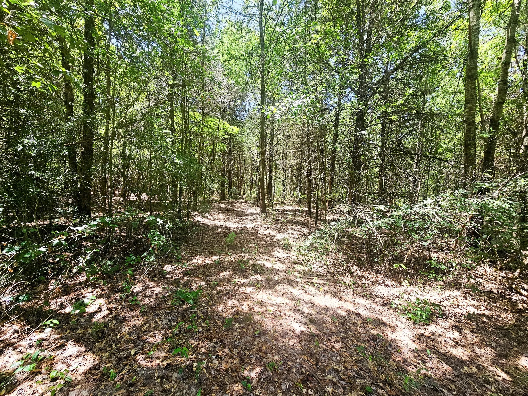 Single Family Residence For Sale in Wood County , 1115 County Road 3160, Quitman, Texas 75783, 3 Bedroom, 2 Bathroom, Garage spaces, 2,030 Sqft, built in 2022, mls#21381432, Real Estate Agent in Quitman, Homes For Sale in Wood county, Homes For Sale in Quitman, Realtor in Quitman Texas, Real Estate Brokerage Independent Realty Texas, Luminita Cordes Realtor