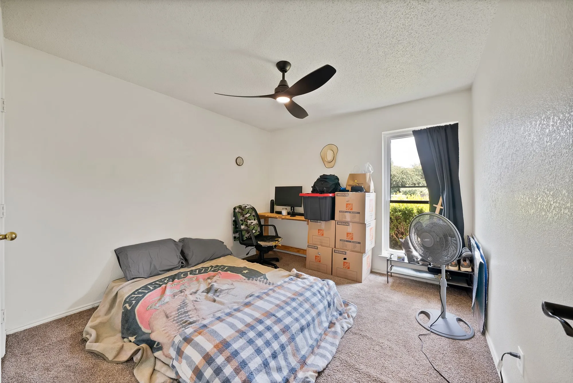 Textured carpeting, white walls, and a ceiling fan with integrated lighting