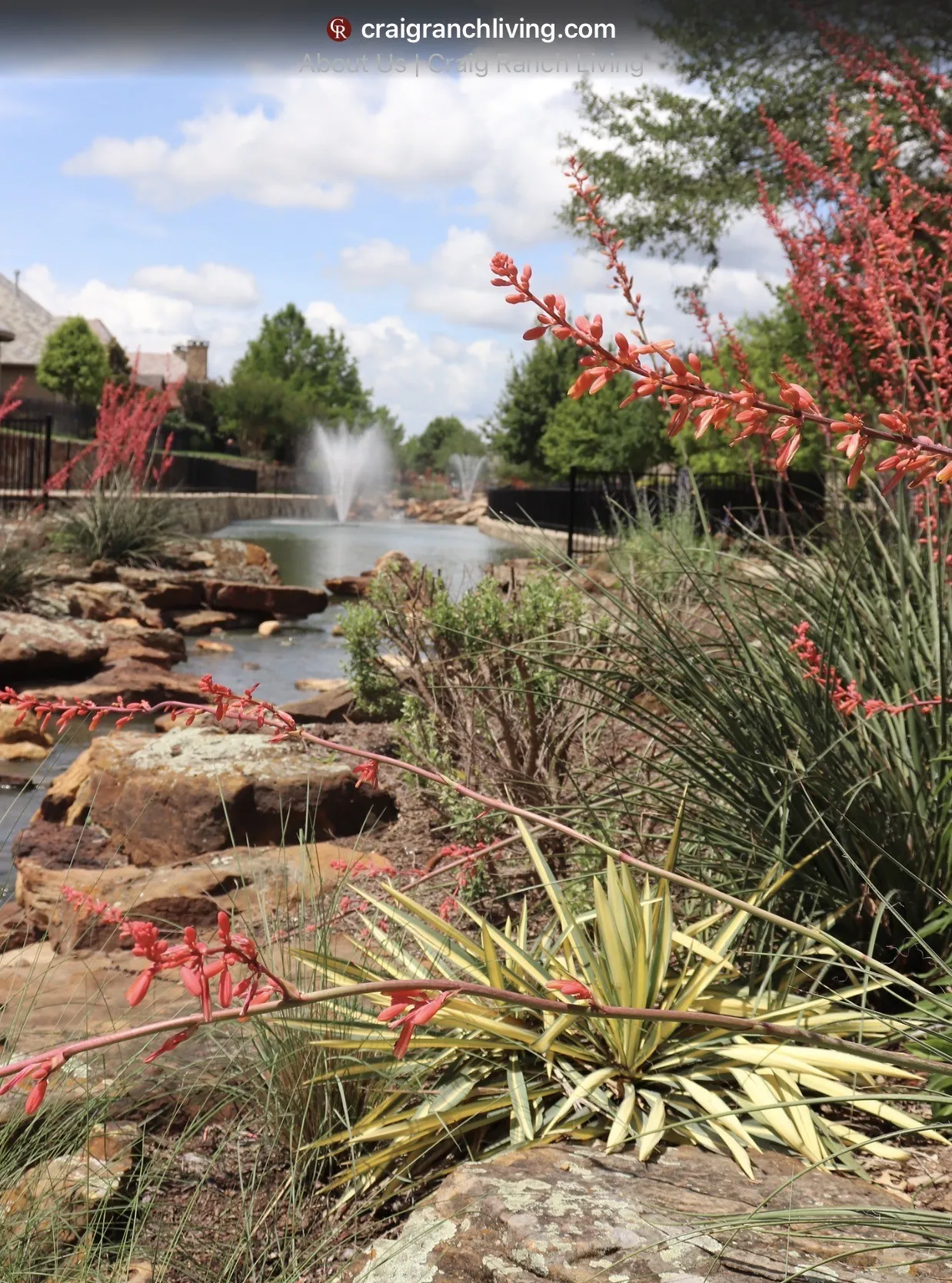 Landscaped water feature with multiple fountains, natural stone accents, and varied plantings