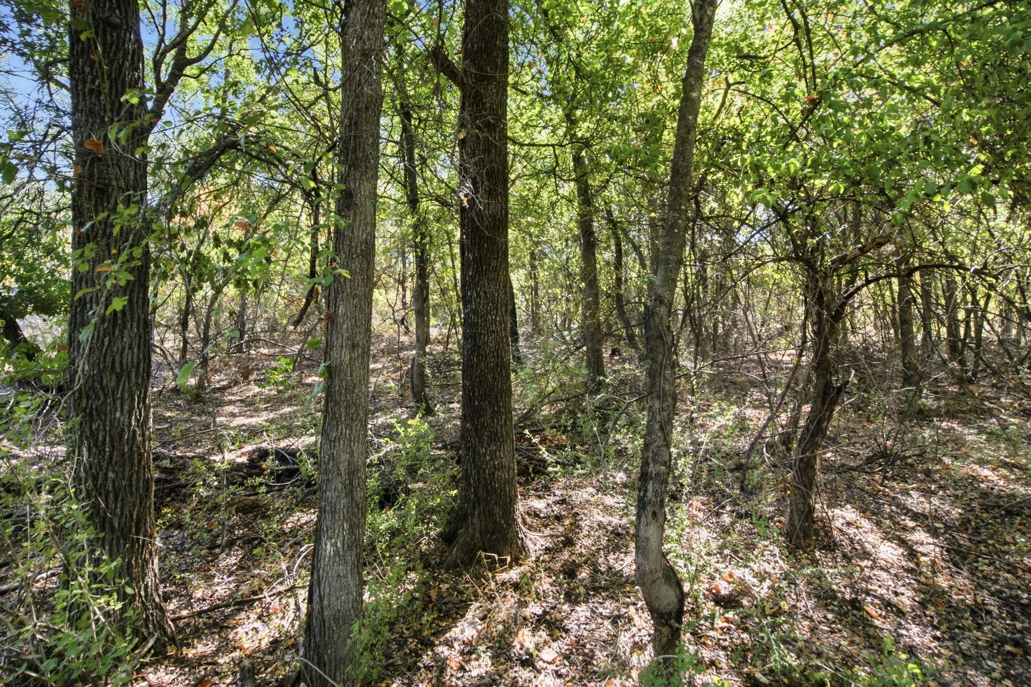 Unimproved Land For Sale in Parker County , 810 Church Road, Azle, Texas 76020, 0, 0, Garage spaces, 0 Sqft, built in 0, mls#21383822, Real Estate Agent in Azle, Homes For Sale in Parker county, Homes For Sale in Azle, Realtor in Azle Texas, Real Estate Brokerage Independent Realty Texas, Luminita Cordes Realtor