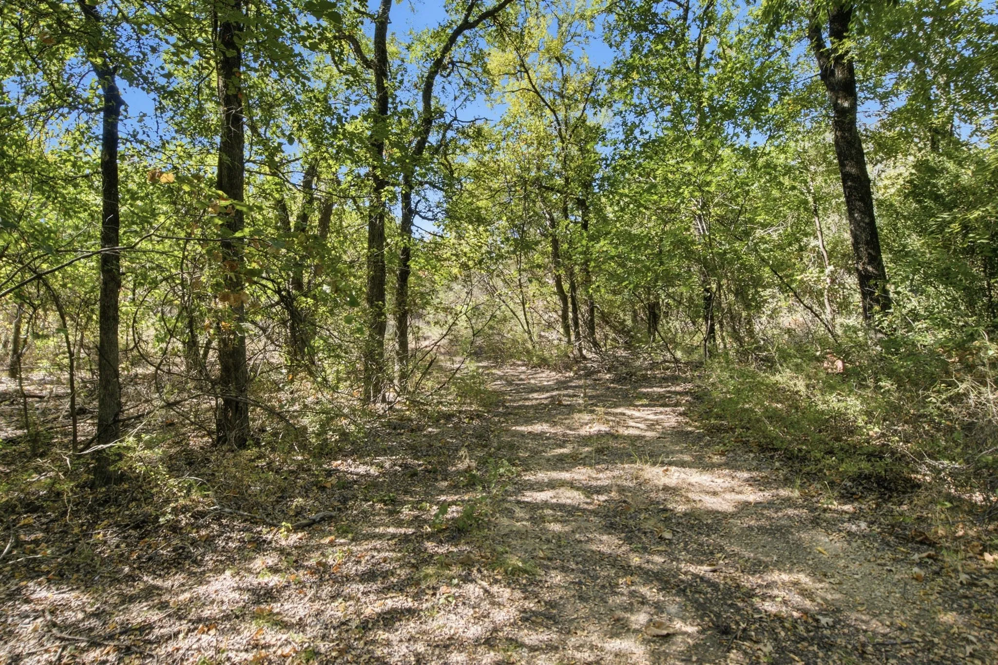 Unimproved Land For Sale in Parker County , 810 Church Road, Azle, Texas 76020, 0, 0, Garage spaces, 0 Sqft, built in 0, mls#21383822, Real Estate Agent in Azle, Homes For Sale in Parker county, Homes For Sale in Azle, Realtor in Azle Texas, Real Estate Brokerage Independent Realty Texas, Luminita Cordes Realtor