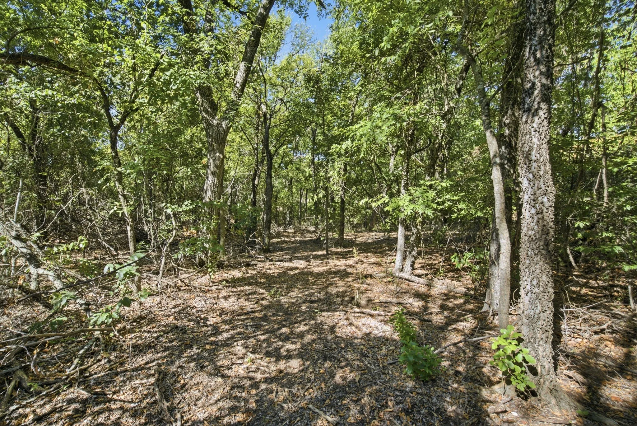 Unimproved Land For Sale in Parker County , 810 Church Road, Azle, Texas 76020, 0, 0, Garage spaces, 0 Sqft, built in 0, mls#21383822, Real Estate Agent in Azle, Homes For Sale in Parker county, Homes For Sale in Azle, Realtor in Azle Texas, Real Estate Brokerage Independent Realty Texas, Luminita Cordes Realtor