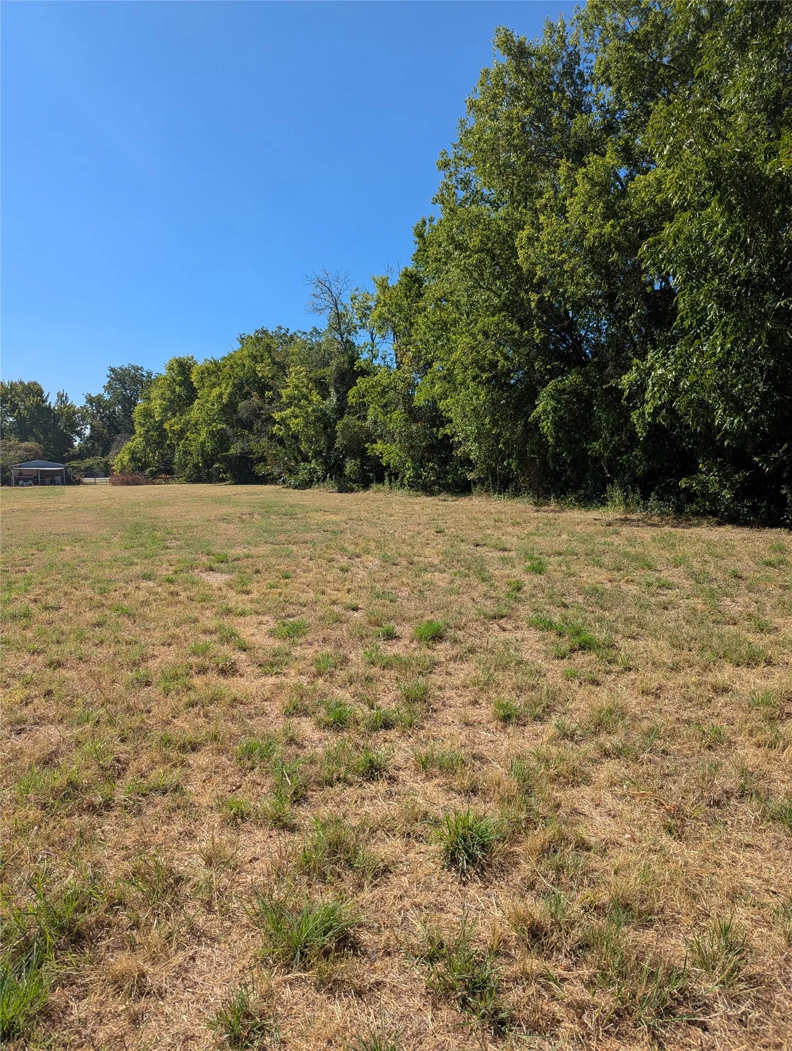 From the back of the property looking towards the front