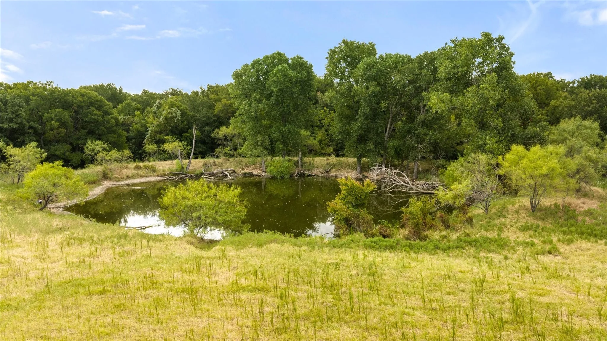 Unimproved Land For Sale in Erath County , TBD County Rd 146, Lipan, Texas 76462, 0, 0, Garage spaces, 0 Sqft, built in 0, mls#21382813, Real Estate Agent in Lipan, Homes For Sale in Erath county, Homes For Sale in Lipan, Realtor in Lipan Texas, Real Estate Brokerage Independent Realty Texas, Luminita Cordes Realtor