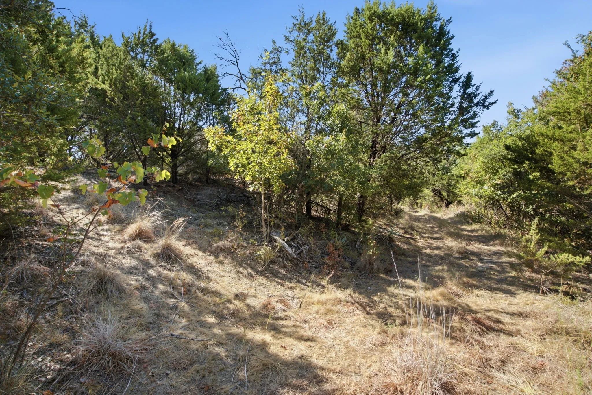 Unimproved Land For Sale in Parker County , 840 Church Road, Azle, Texas 76020, 0, 0, Garage spaces, 0 Sqft, built in 0, mls#21383836, Real Estate Agent in Azle, Homes For Sale in Parker county, Homes For Sale in Azle, Realtor in Azle Texas, Real Estate Brokerage Independent Realty Texas, Luminita Cordes Realtor