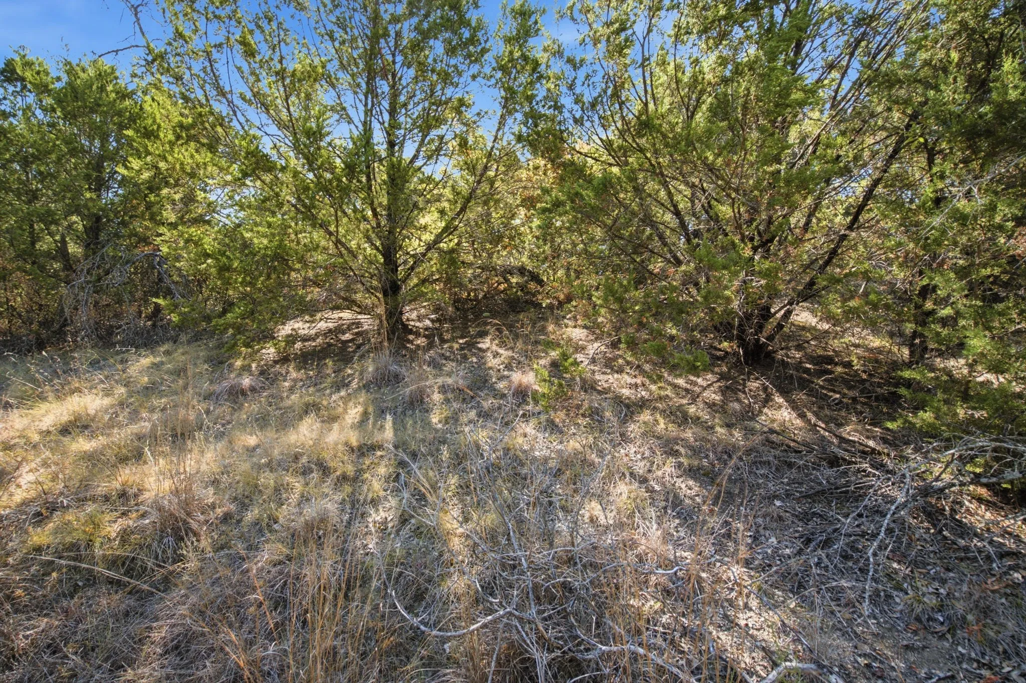 Unimproved Land For Sale in Parker County , 840 Church Road, Azle, Texas 76020, 0, 0, Garage spaces, 0 Sqft, built in 0, mls#21383836, Real Estate Agent in Azle, Homes For Sale in Parker county, Homes For Sale in Azle, Realtor in Azle Texas, Real Estate Brokerage Independent Realty Texas, Luminita Cordes Realtor