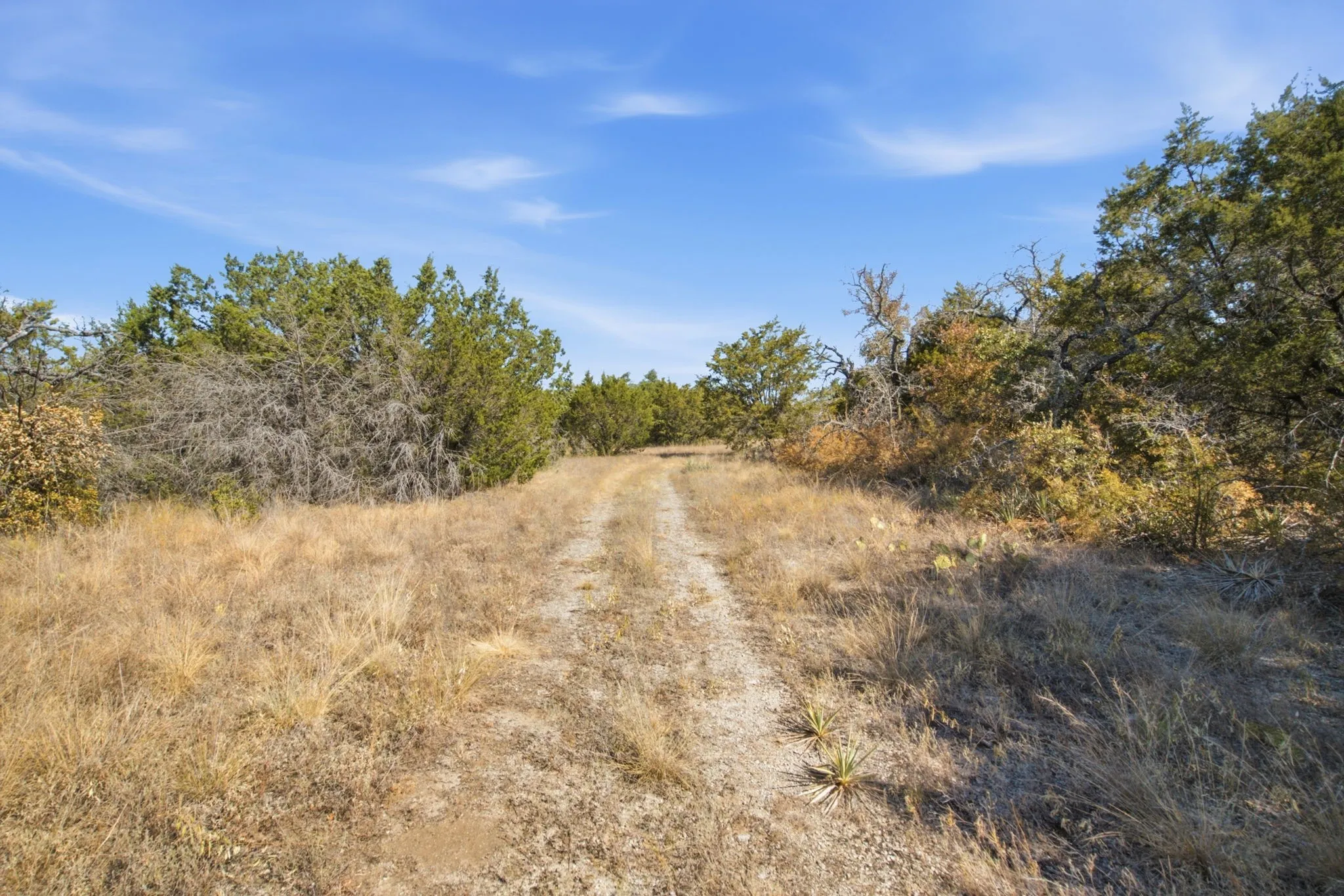 Unimproved Land For Sale in Parker County , 840 Church Road, Azle, Texas 76020, 0, 0, Garage spaces, 0 Sqft, built in 0, mls#21383836, Real Estate Agent in Azle, Homes For Sale in Parker county, Homes For Sale in Azle, Realtor in Azle Texas, Real Estate Brokerage Independent Realty Texas, Luminita Cordes Realtor