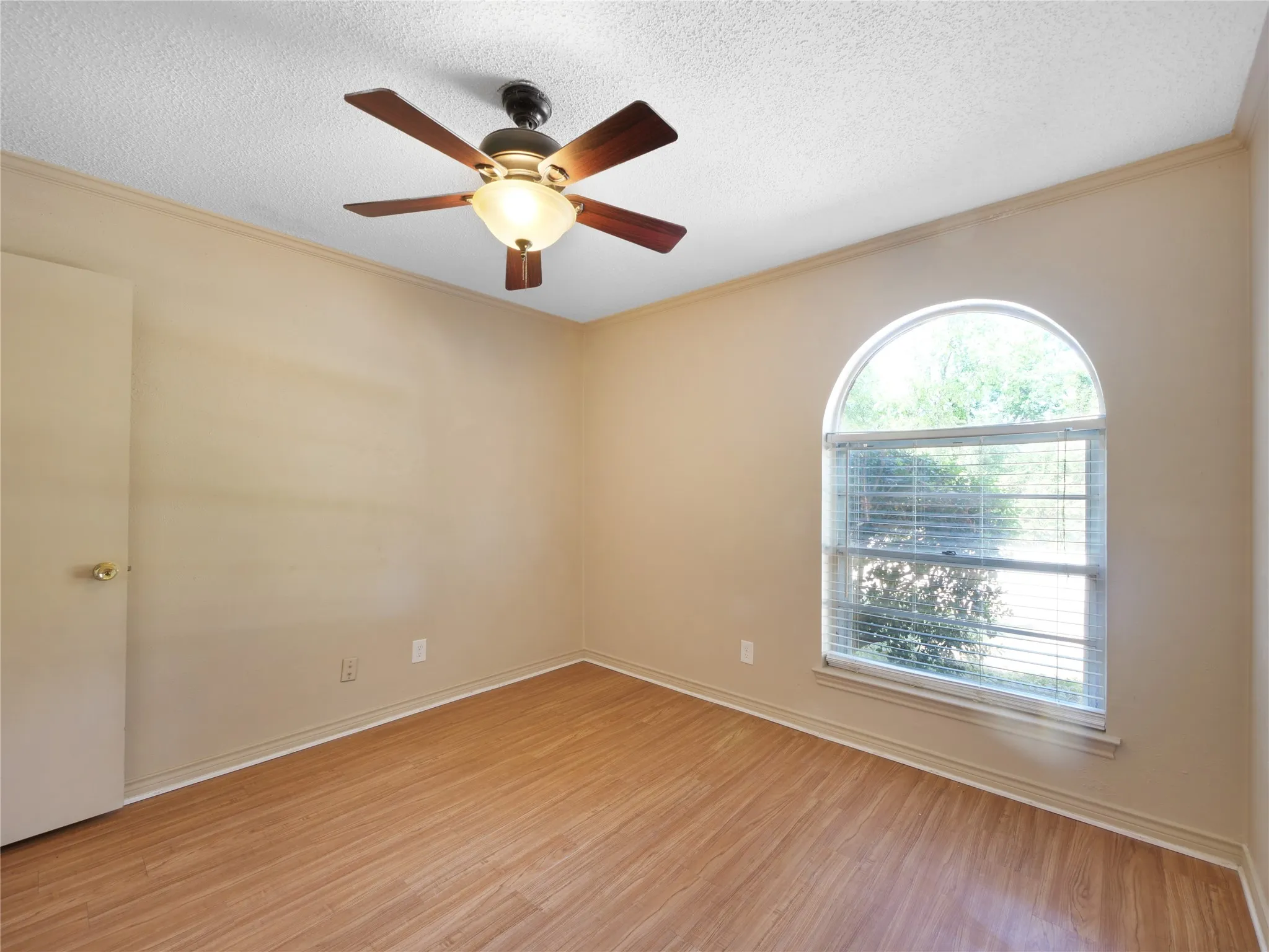Wood-finish flooring, an arched window, and a ceiling fan with integrated lighting