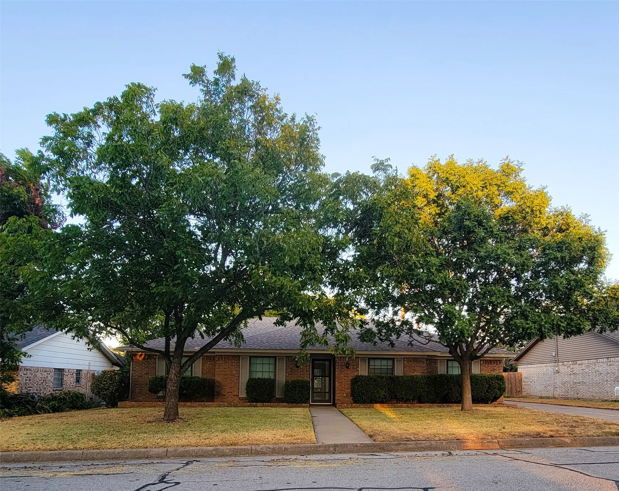 Brick facade residence featuring a dark asphalt shingle roof, established trees, a concrete walkway, and a paved driveway
