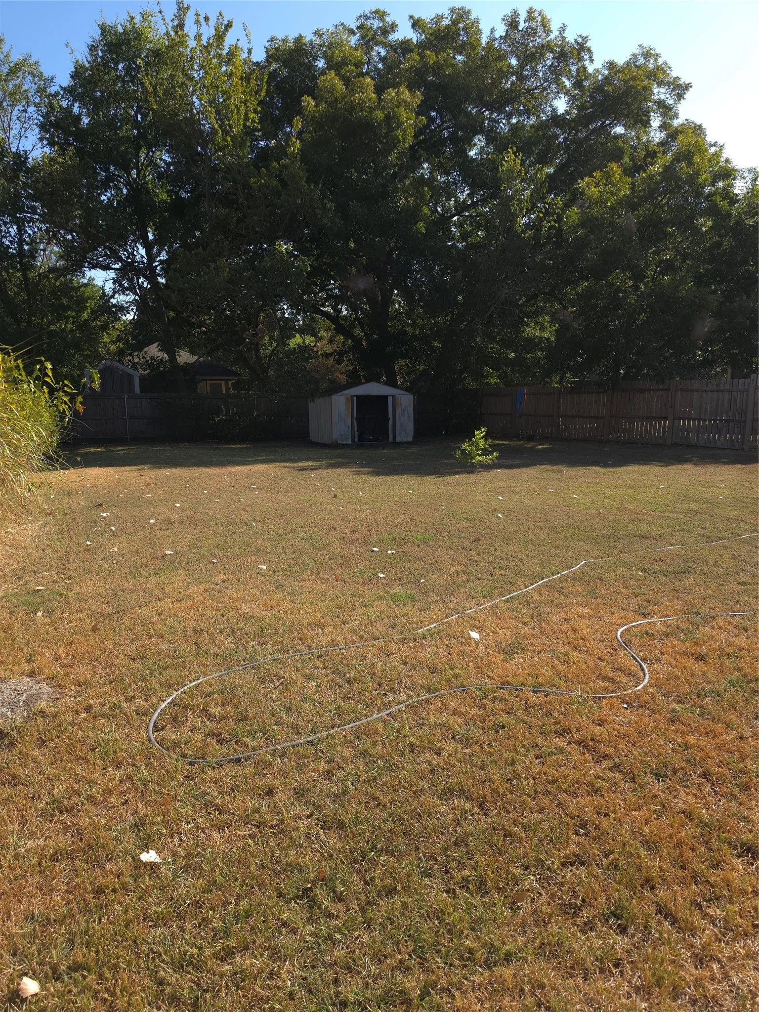 Single Family Residence For Sale in Fannin County , 1309 S 6th Street, Bonham, Texas 75418, 3 Bedroom, 1 Bathroom, Garage spaces, 960 Sqft, built in 1985, mls#21383531, Real Estate Agent in Bonham, Homes For Sale in Fannin county, Homes For Sale in Bonham, Realtor in Bonham Texas, Real Estate Brokerage Independent Realty Texas, Luminita Cordes Realtor