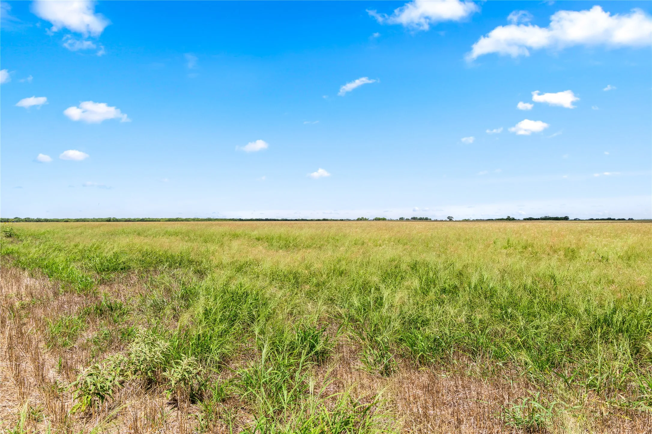 Ranch For Sale in Callahan County , TBD 1 FM 604 Road, Clyde, Texas 79510, 0, 0, Garage spaces, 0 Sqft, built in 0, mls#21382723, Real Estate Agent in Clyde, Homes For Sale in Callahan county, Homes For Sale in Clyde, Realtor in Clyde Texas, Real Estate Brokerage Independent Realty Texas, Luminita Cordes Realtor
