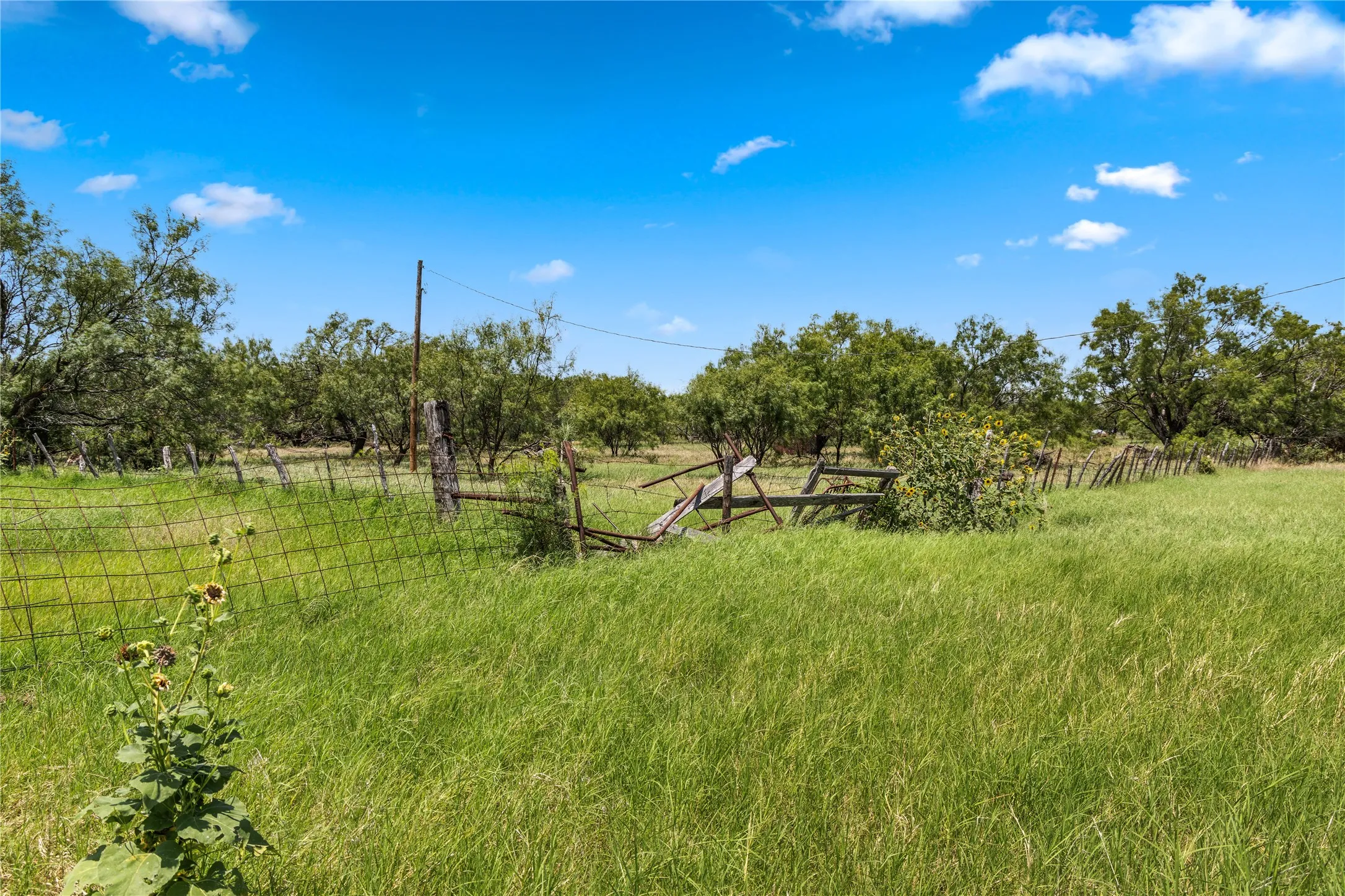 Ranch For Sale in Callahan County , TBD 1 FM 604 Road, Clyde, Texas 79510, 0, 0, Garage spaces, 0 Sqft, built in 0, mls#21382723, Real Estate Agent in Clyde, Homes For Sale in Callahan county, Homes For Sale in Clyde, Realtor in Clyde Texas, Real Estate Brokerage Independent Realty Texas, Luminita Cordes Realtor