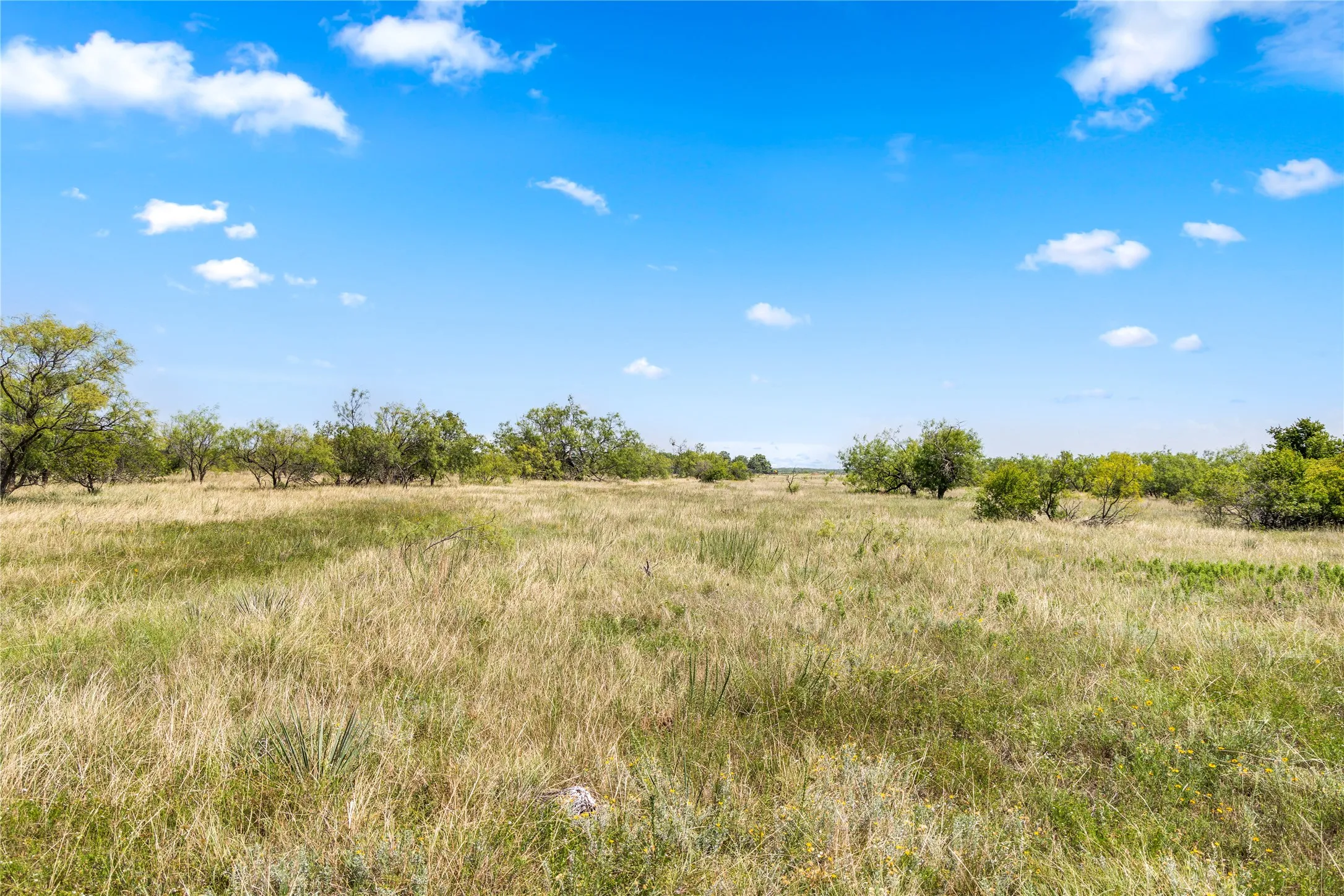 Ranch For Sale in Callahan County , TBD 1 FM 604 Road, Clyde, Texas 79510, 0, 0, Garage spaces, 0 Sqft, built in 0, mls#21382723, Real Estate Agent in Clyde, Homes For Sale in Callahan county, Homes For Sale in Clyde, Realtor in Clyde Texas, Real Estate Brokerage Independent Realty Texas, Luminita Cordes Realtor