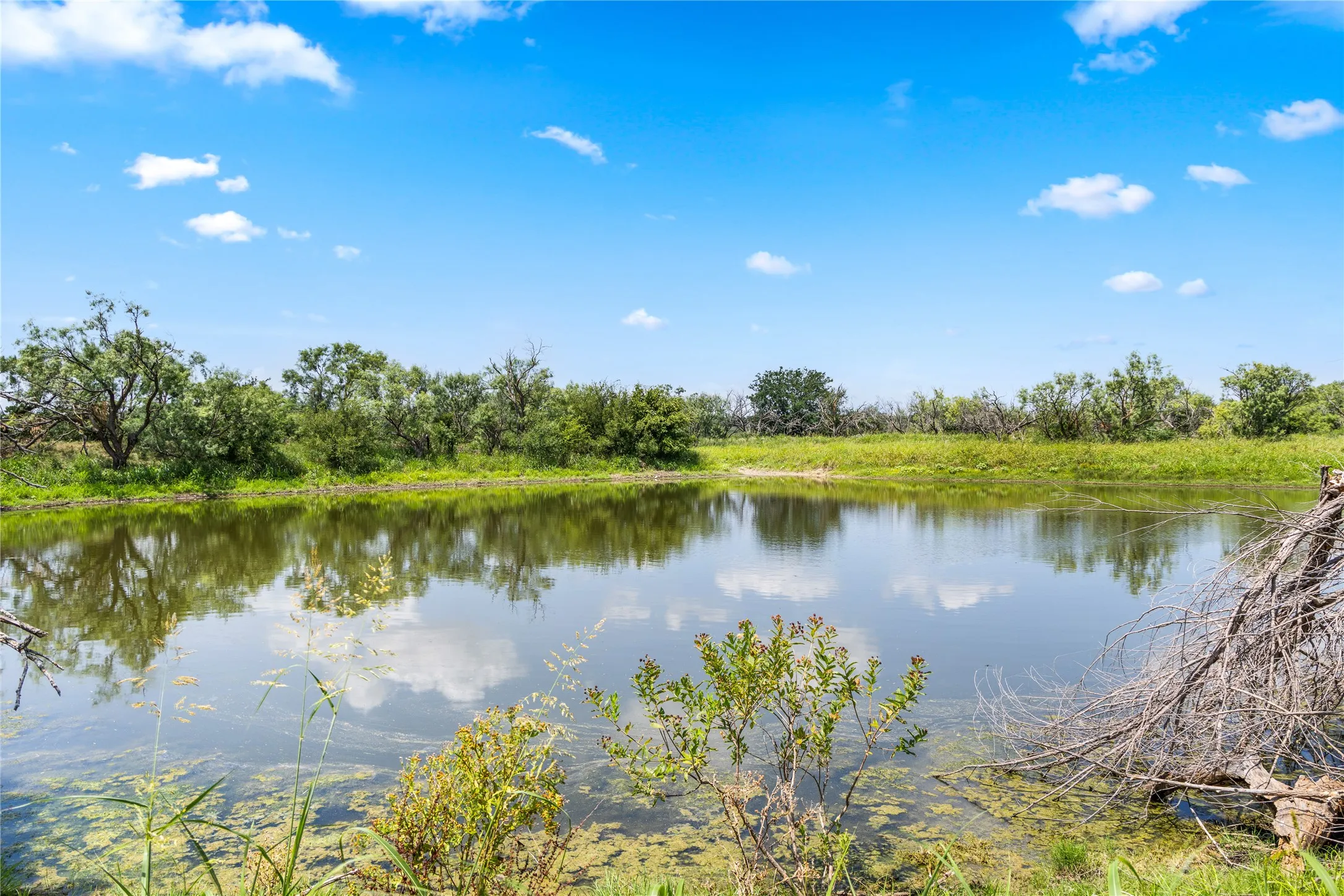 Ranch For Sale in Callahan County , TBD 1 FM 604 Road, Clyde, Texas 79510, 0, 0, Garage spaces, 0 Sqft, built in 0, mls#21382723, Real Estate Agent in Clyde, Homes For Sale in Callahan county, Homes For Sale in Clyde, Realtor in Clyde Texas, Real Estate Brokerage Independent Realty Texas, Luminita Cordes Realtor