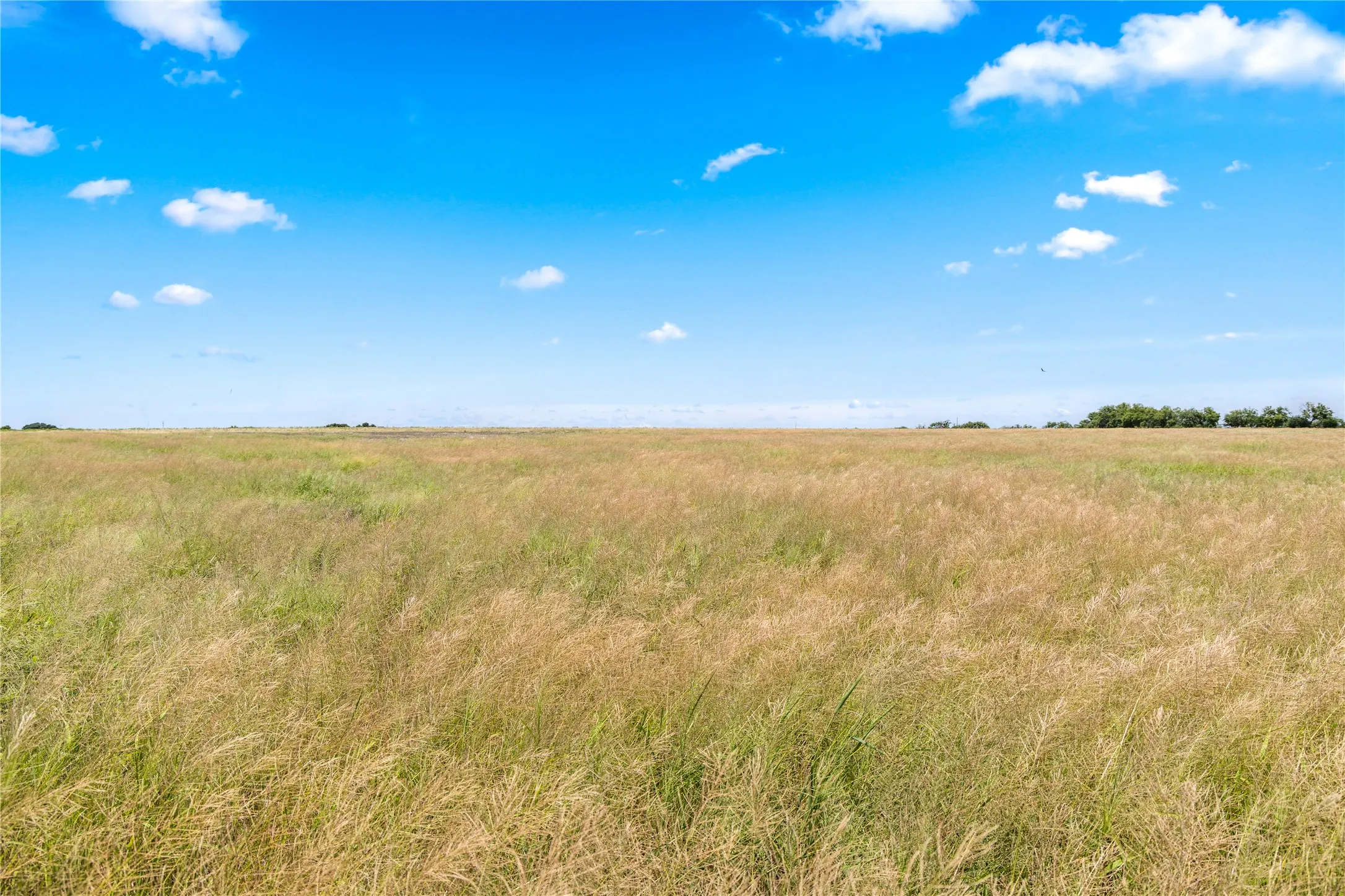 Ranch For Sale in Callahan County , TBD 1 FM 604 Road, Clyde, Texas 79510, 0, 0, Garage spaces, 0 Sqft, built in 0, mls#21382723, Real Estate Agent in Clyde, Homes For Sale in Callahan county, Homes For Sale in Clyde, Realtor in Clyde Texas, Real Estate Brokerage Independent Realty Texas, Luminita Cordes Realtor