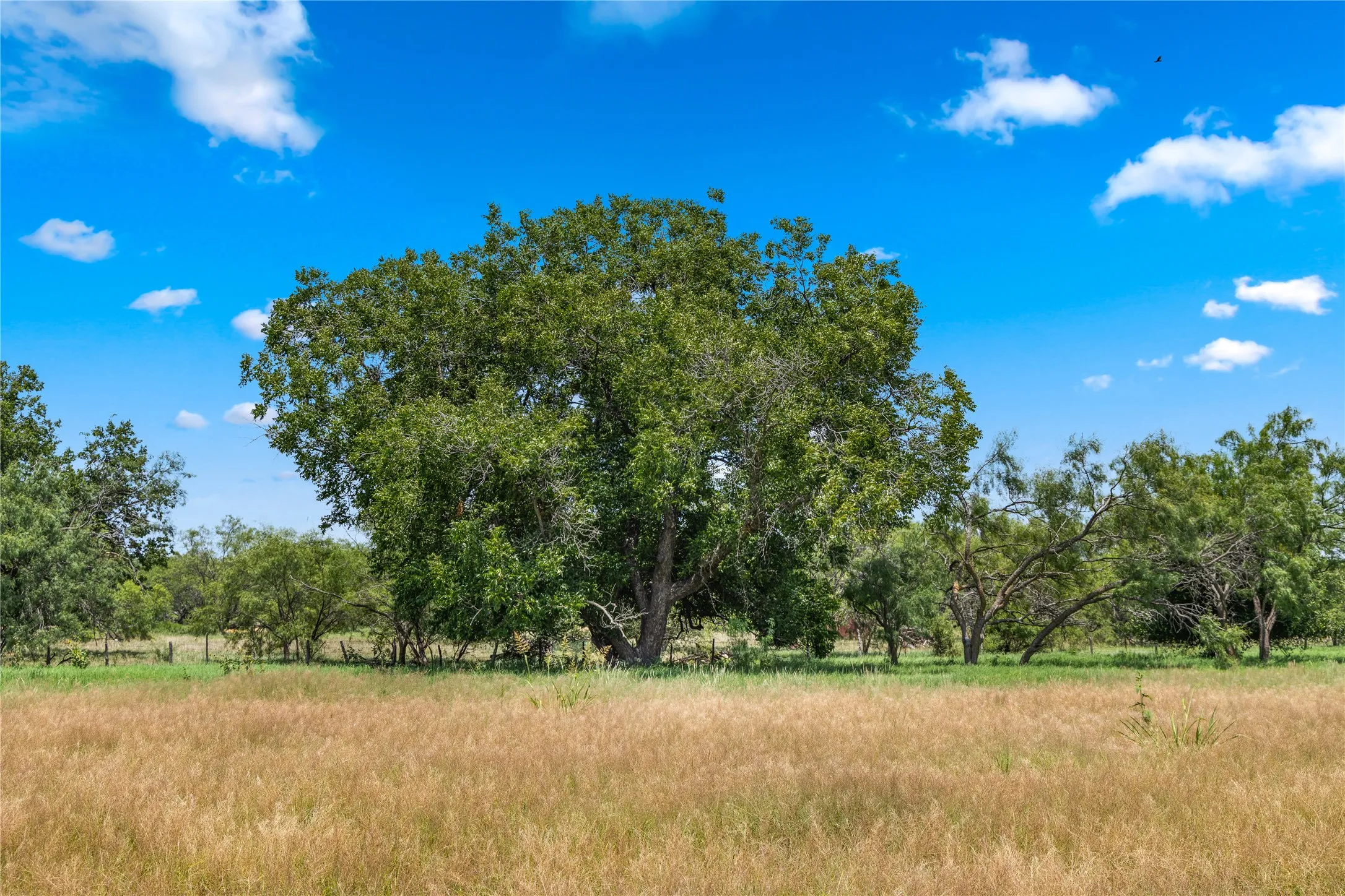 Ranch For Sale in Callahan County , TBD 1 FM 604 Road, Clyde, Texas 79510, 0, 0, Garage spaces, 0 Sqft, built in 0, mls#21382723, Real Estate Agent in Clyde, Homes For Sale in Callahan county, Homes For Sale in Clyde, Realtor in Clyde Texas, Real Estate Brokerage Independent Realty Texas, Luminita Cordes Realtor