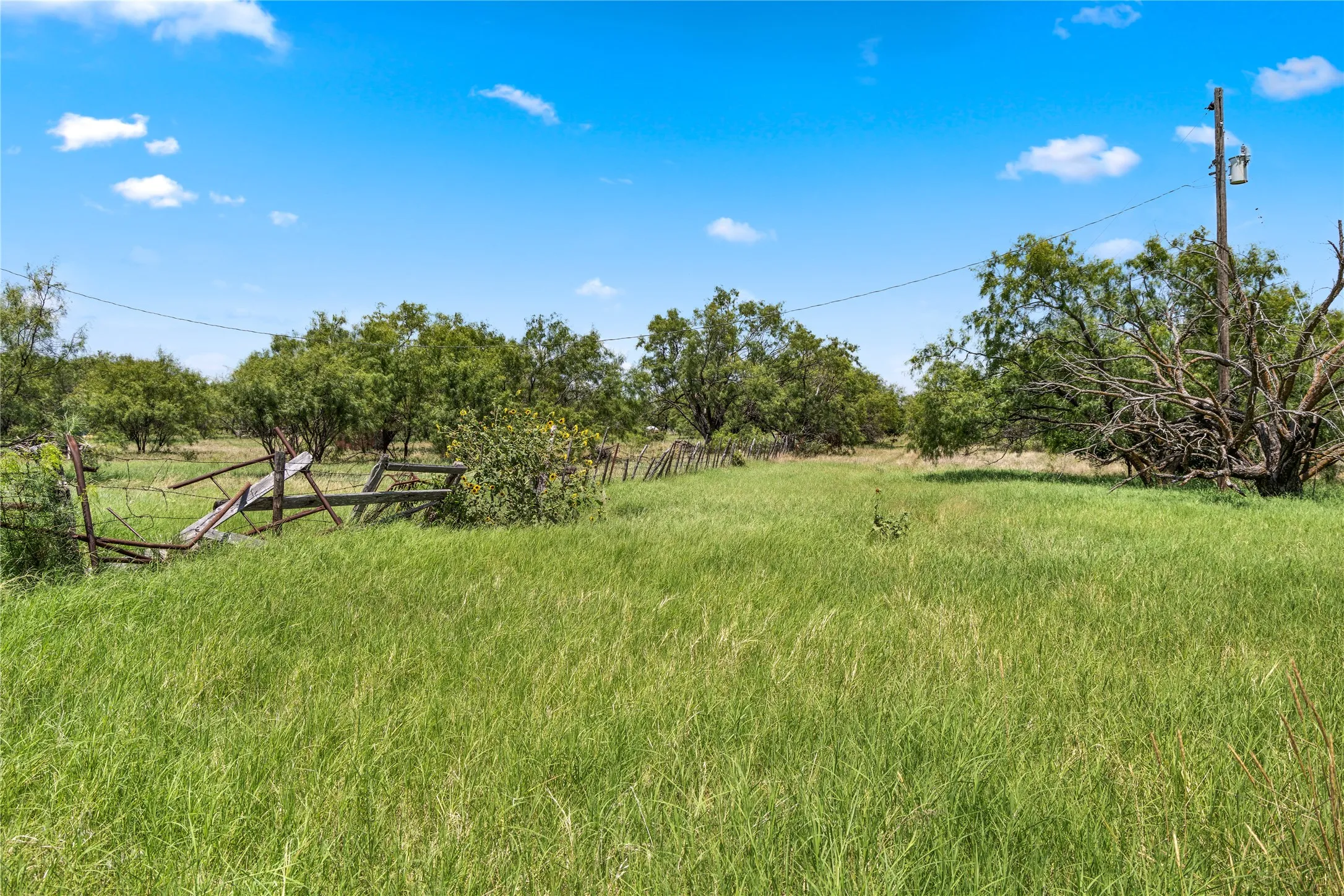Ranch For Sale in Callahan County , TBD 1 FM 604 Road, Clyde, Texas 79510, 0, 0, Garage spaces, 0 Sqft, built in 0, mls#21382723, Real Estate Agent in Clyde, Homes For Sale in Callahan county, Homes For Sale in Clyde, Realtor in Clyde Texas, Real Estate Brokerage Independent Realty Texas, Luminita Cordes Realtor