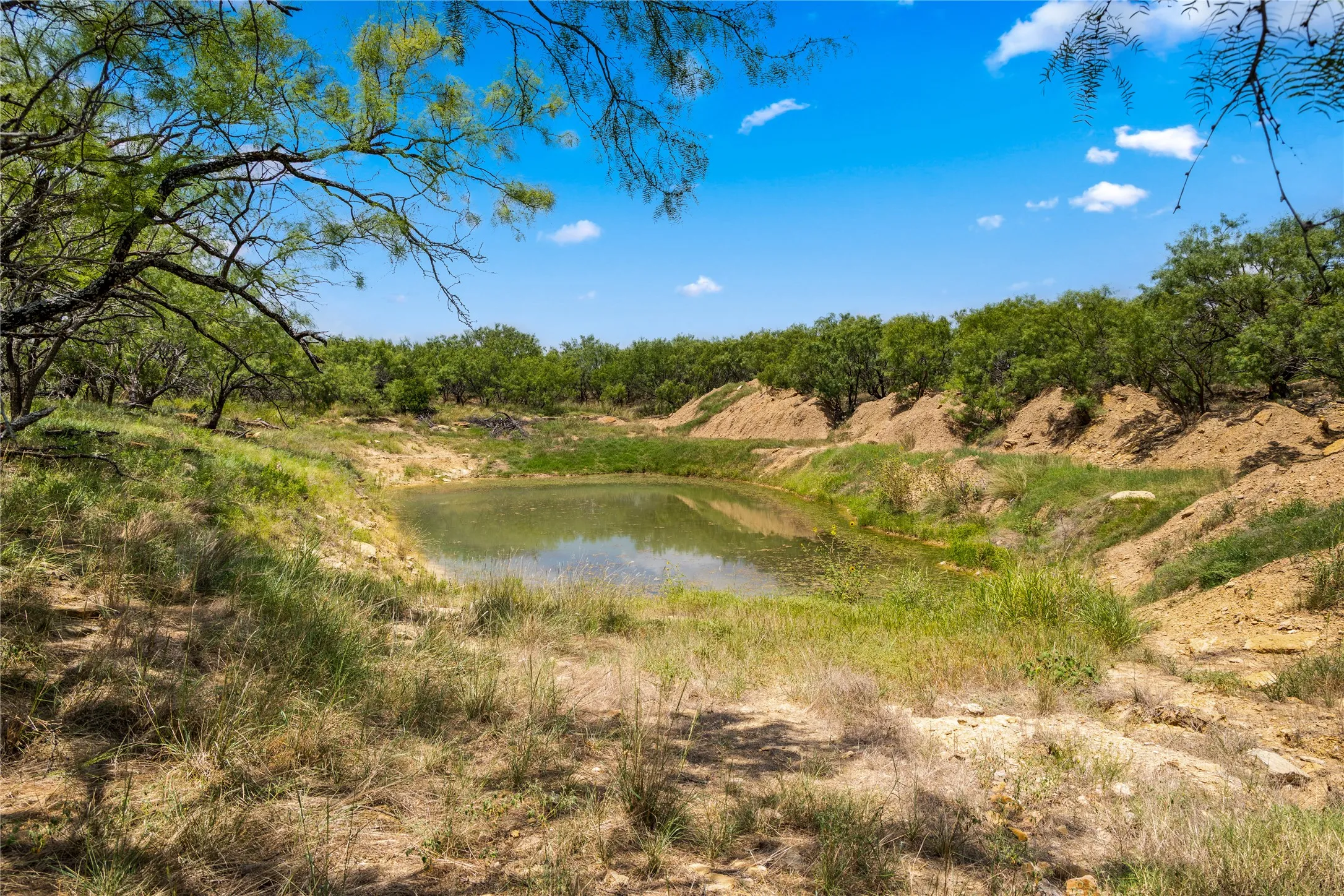 Ranch For Sale in Callahan County , TBD 1 FM 604 Road, Clyde, Texas 79510, 0, 0, Garage spaces, 0 Sqft, built in 0, mls#21382723, Real Estate Agent in Clyde, Homes For Sale in Callahan county, Homes For Sale in Clyde, Realtor in Clyde Texas, Real Estate Brokerage Independent Realty Texas, Luminita Cordes Realtor