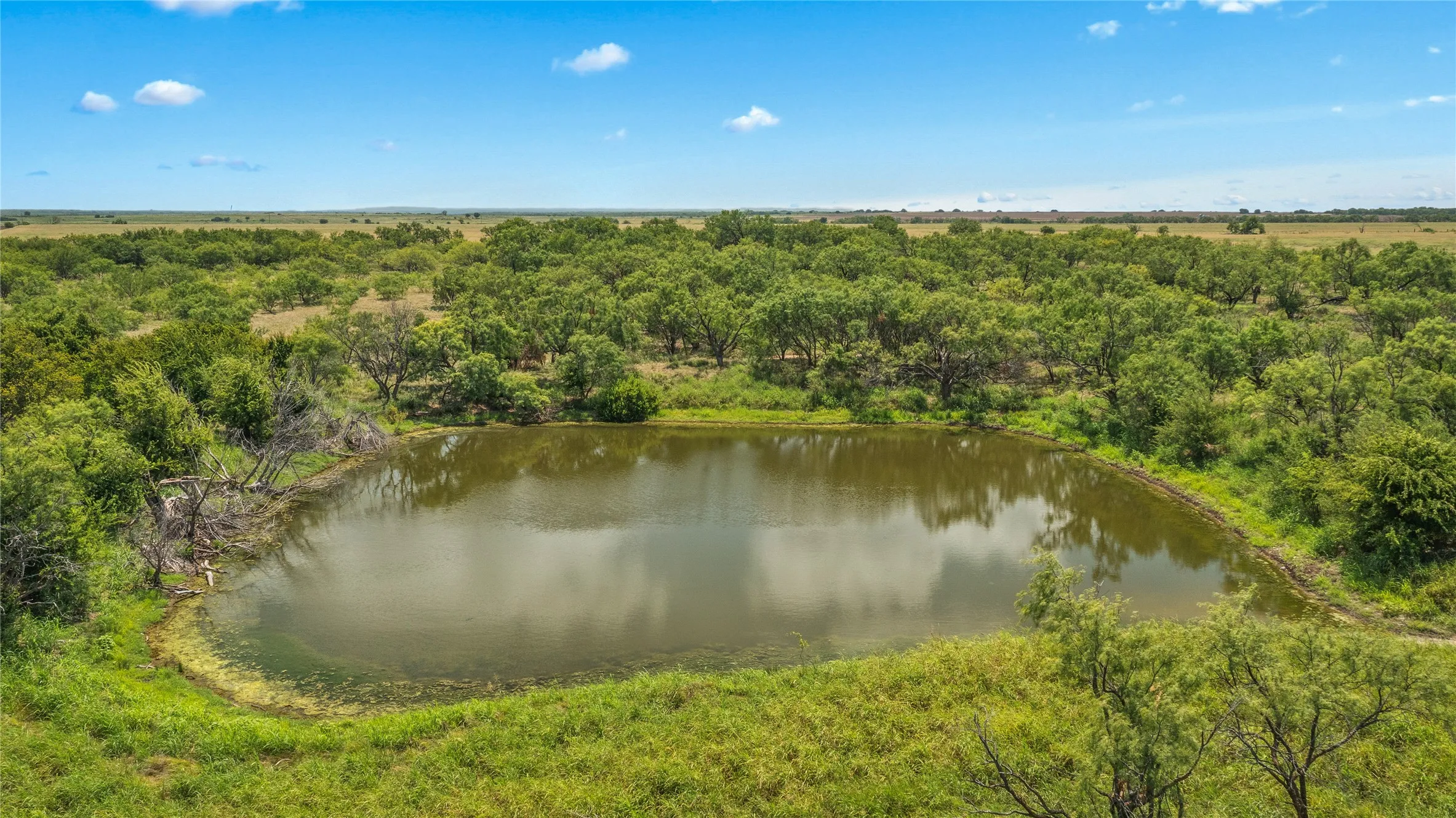 Ranch For Sale in Callahan County , TBD 1 FM 604 Road, Clyde, Texas 79510, 0, 0, Garage spaces, 0 Sqft, built in 0, mls#21382723, Real Estate Agent in Clyde, Homes For Sale in Callahan county, Homes For Sale in Clyde, Realtor in Clyde Texas, Real Estate Brokerage Independent Realty Texas, Luminita Cordes Realtor