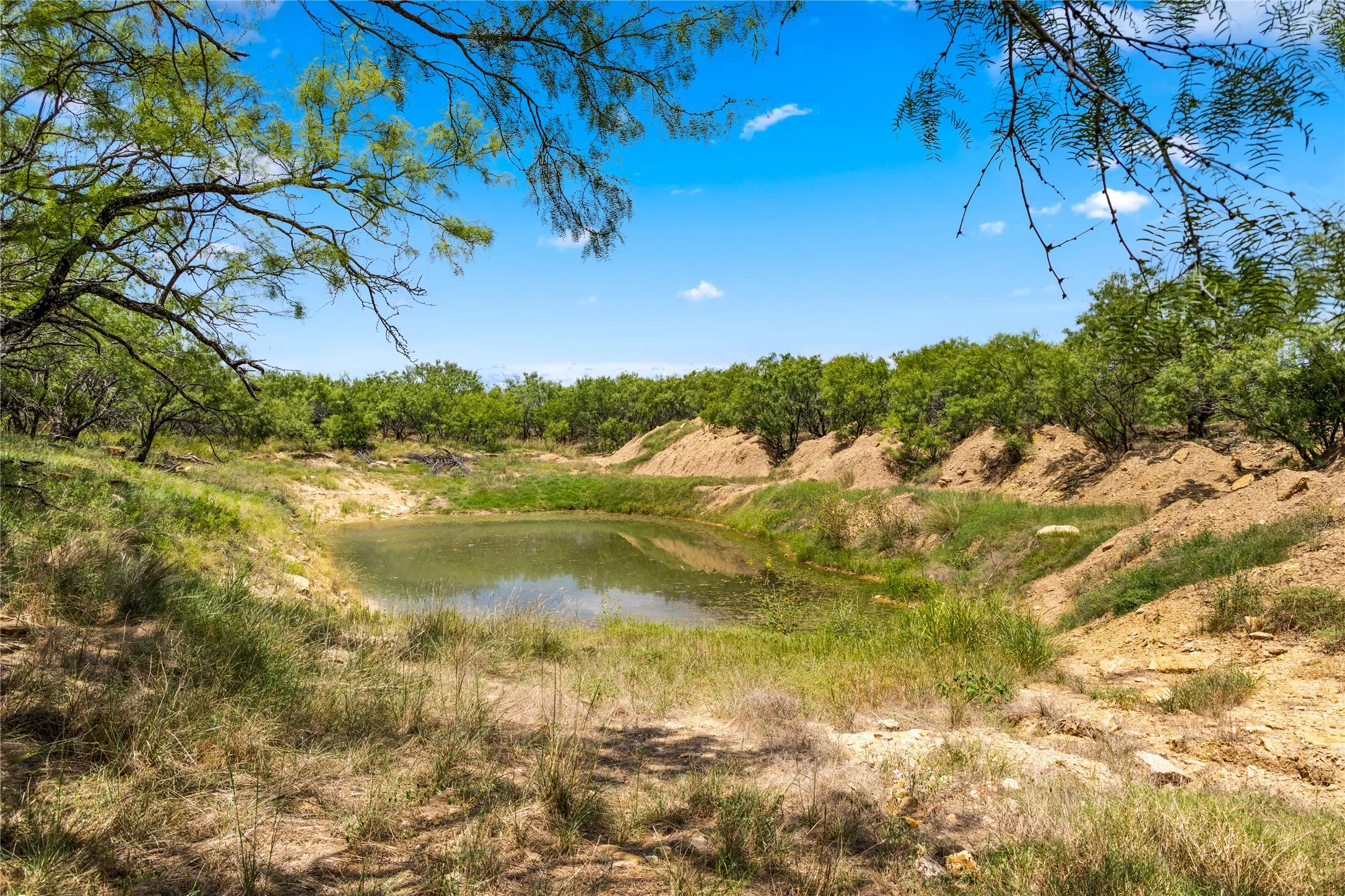 Ranch For Sale in Callahan County , TBD 1 FM 604 Road, Clyde, Texas 79510, 0, 0, Garage spaces, 0 Sqft, built in 0, mls#21382723, Real Estate Agent in Clyde, Homes For Sale in Callahan county, Homes For Sale in Clyde, Realtor in Clyde Texas, Real Estate Brokerage Independent Realty Texas, Luminita Cordes Realtor