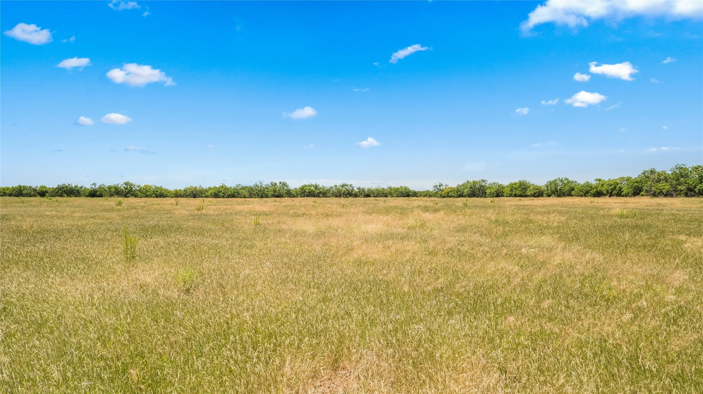 Ranch For Sale in Callahan County , TBD 1 FM 604 Road, Clyde, Texas 79510, 0, 0, Garage spaces, 0 Sqft, built in 0, mls#21382723, Real Estate Agent in Clyde, Homes For Sale in Callahan county, Homes For Sale in Clyde, Realtor in Clyde Texas, Real Estate Brokerage Independent Realty Texas, Luminita Cordes Realtor