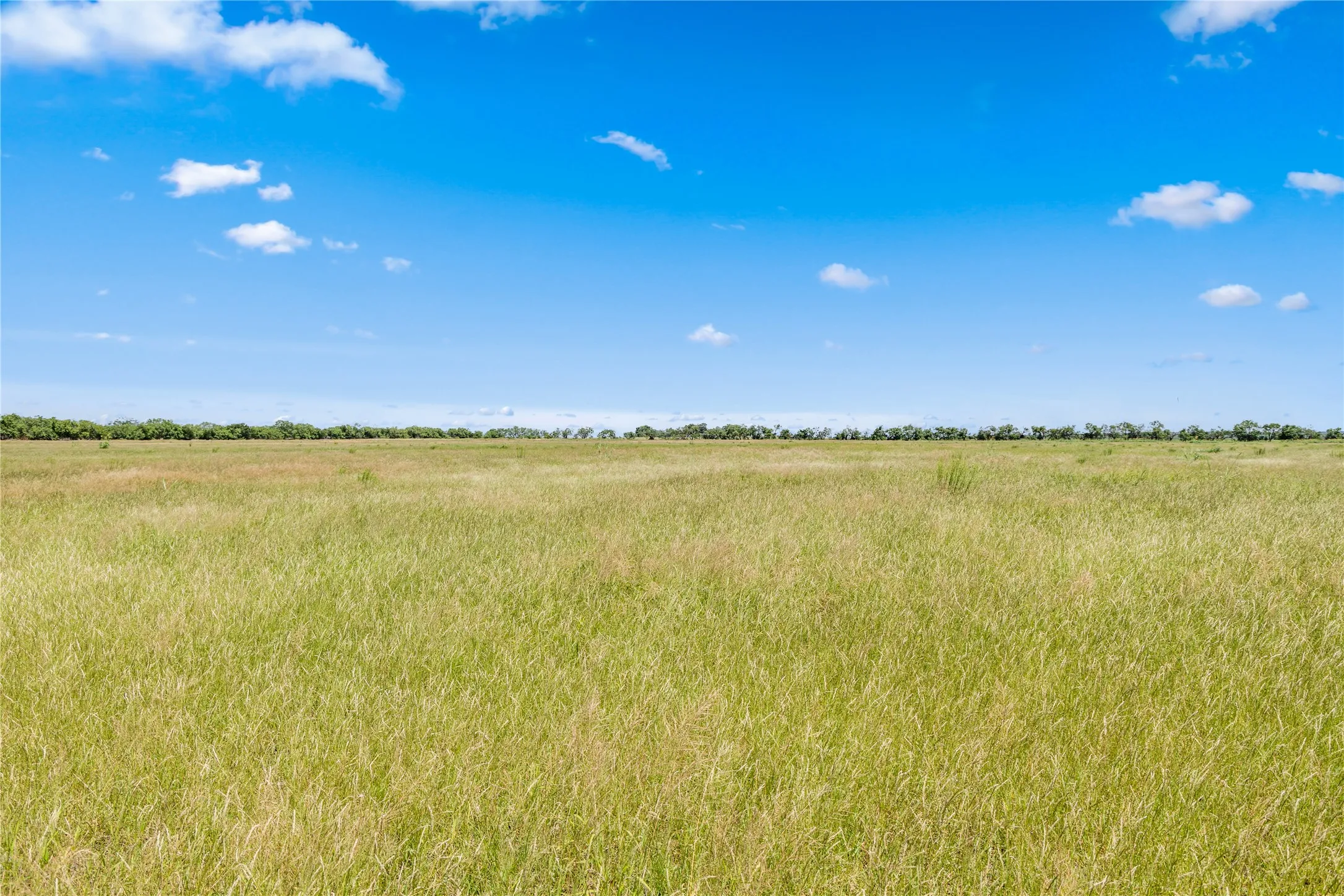 Ranch For Sale in Callahan County , TBD 1 FM 604 Road, Clyde, Texas 79510, 0, 0, Garage spaces, 0 Sqft, built in 0, mls#21382723, Real Estate Agent in Clyde, Homes For Sale in Callahan county, Homes For Sale in Clyde, Realtor in Clyde Texas, Real Estate Brokerage Independent Realty Texas, Luminita Cordes Realtor