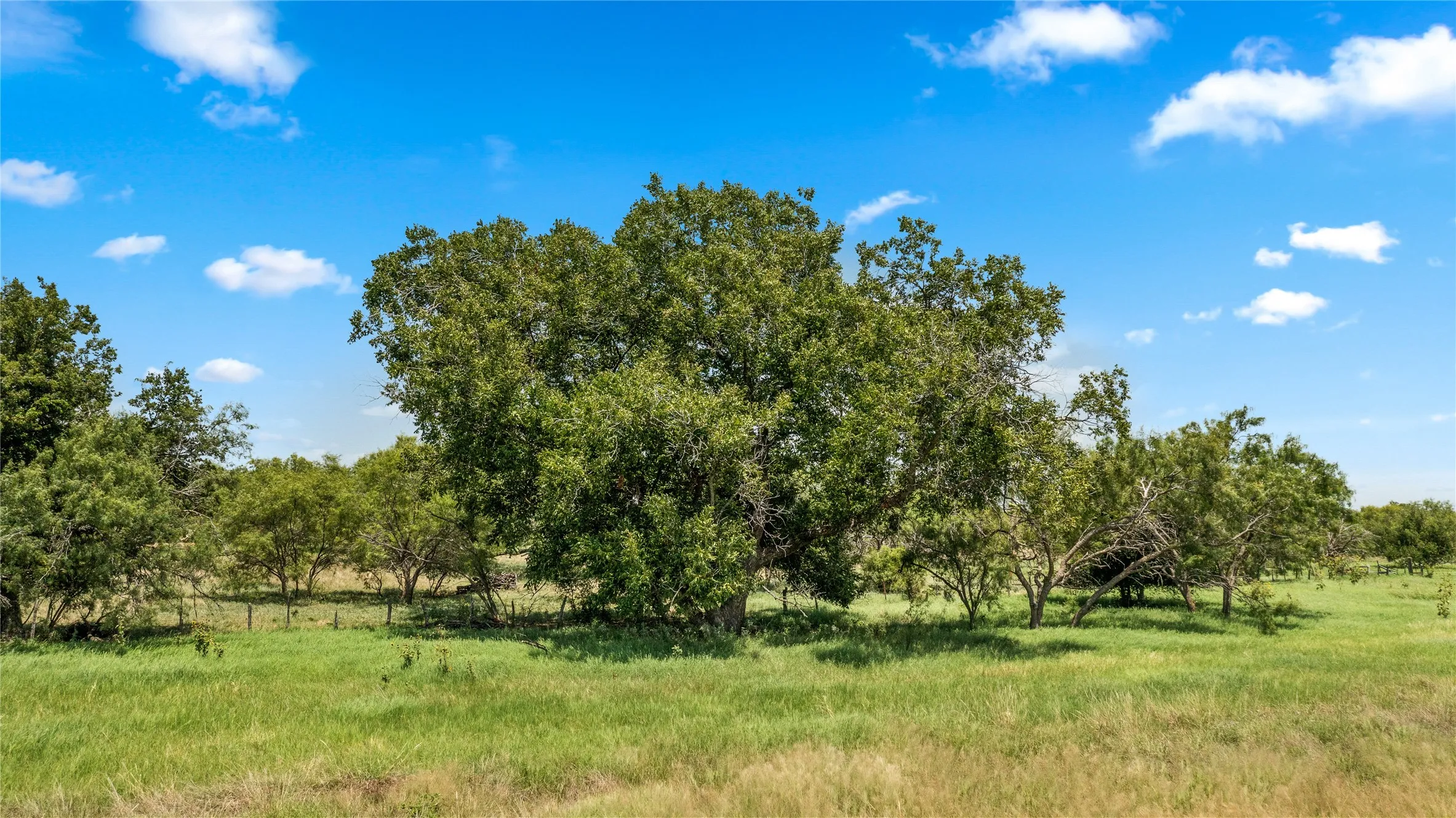 Ranch For Sale in Callahan County , TBD 1 FM 604 Road, Clyde, Texas 79510, 0, 0, Garage spaces, 0 Sqft, built in 0, mls#21382723, Real Estate Agent in Clyde, Homes For Sale in Callahan county, Homes For Sale in Clyde, Realtor in Clyde Texas, Real Estate Brokerage Independent Realty Texas, Luminita Cordes Realtor