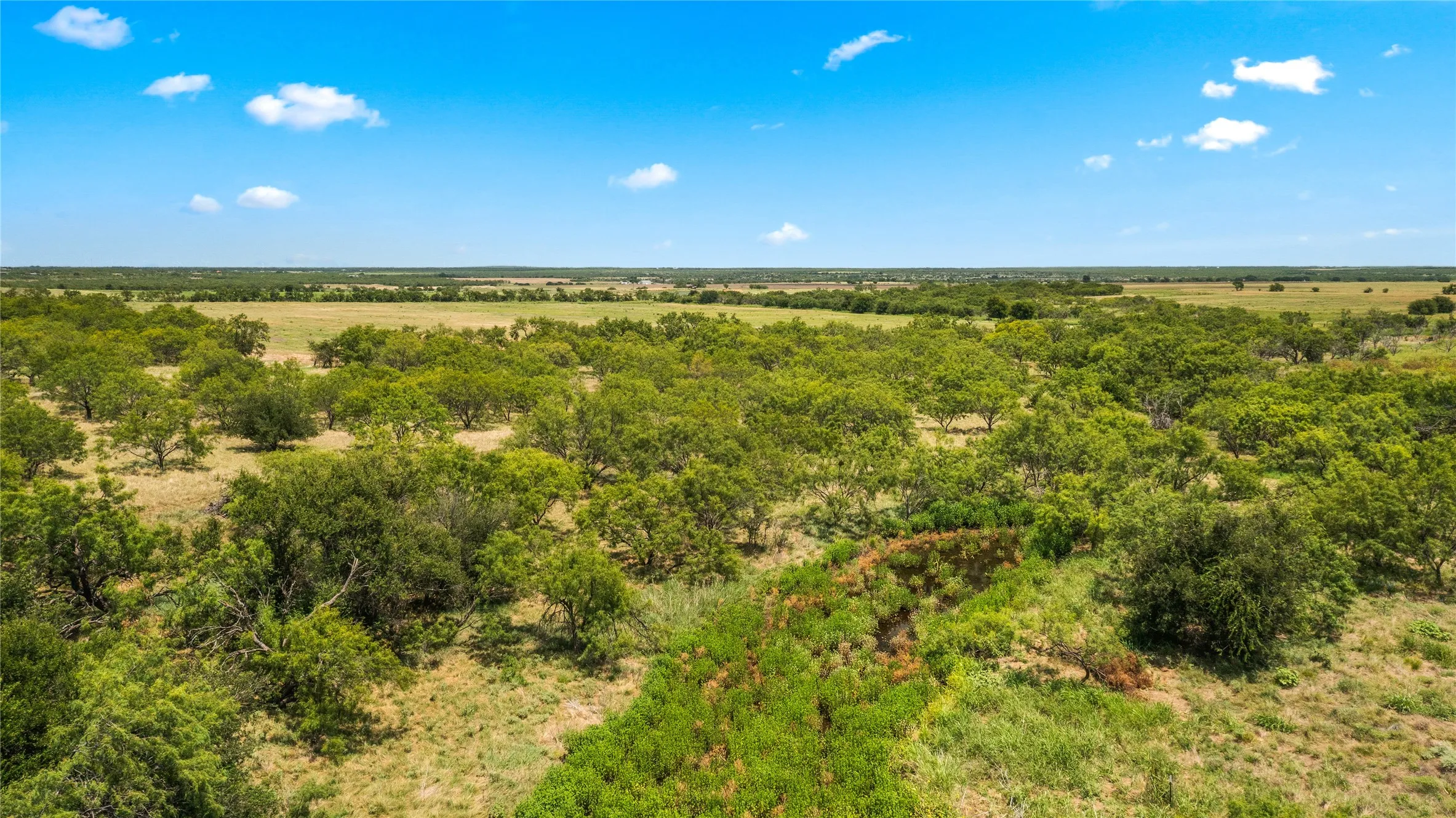 Ranch For Sale in Callahan County , TBD 1 FM 604 Road, Clyde, Texas 79510, 0, 0, Garage spaces, 0 Sqft, built in 0, mls#21382723, Real Estate Agent in Clyde, Homes For Sale in Callahan county, Homes For Sale in Clyde, Realtor in Clyde Texas, Real Estate Brokerage Independent Realty Texas, Luminita Cordes Realtor