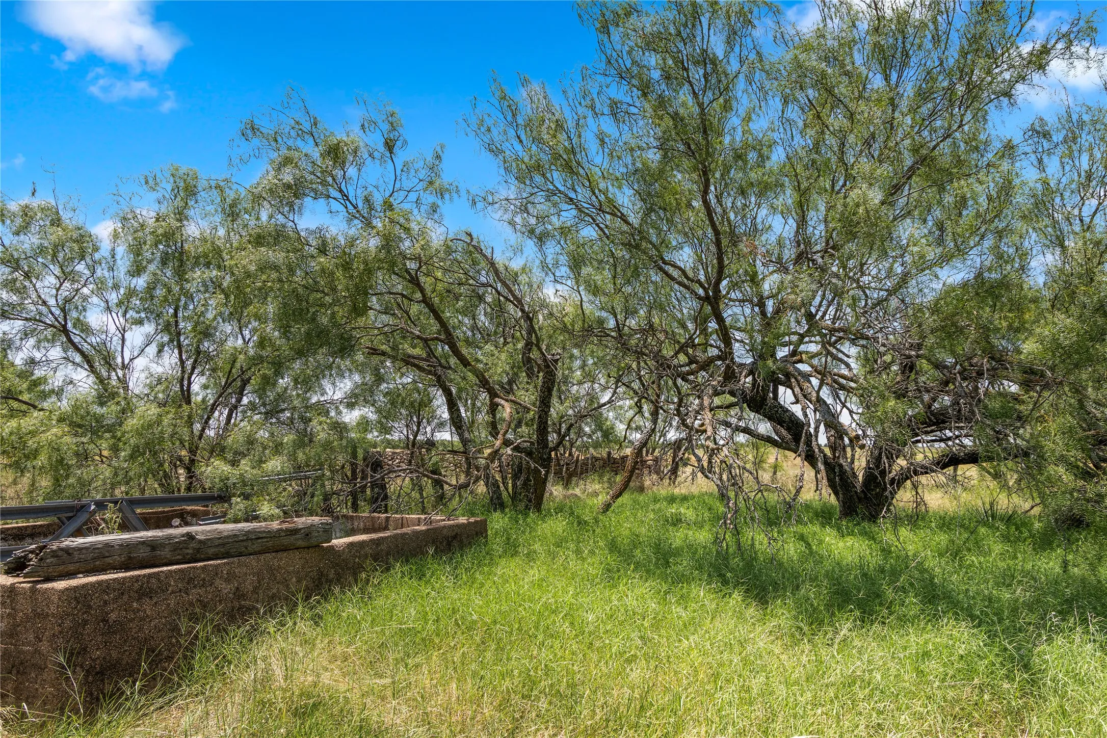 Ranch For Sale in Callahan County , TBD 1 FM 604 Road, Clyde, Texas 79510, 0, 0, Garage spaces, 0 Sqft, built in 0, mls#21382723, Real Estate Agent in Clyde, Homes For Sale in Callahan county, Homes For Sale in Clyde, Realtor in Clyde Texas, Real Estate Brokerage Independent Realty Texas, Luminita Cordes Realtor