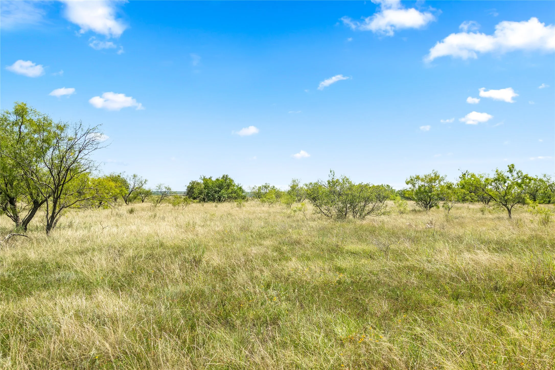 Ranch For Sale in Callahan County , TBD 1 FM 604 Road, Clyde, Texas 79510, 0, 0, Garage spaces, 0 Sqft, built in 0, mls#21382723, Real Estate Agent in Clyde, Homes For Sale in Callahan county, Homes For Sale in Clyde, Realtor in Clyde Texas, Real Estate Brokerage Independent Realty Texas, Luminita Cordes Realtor