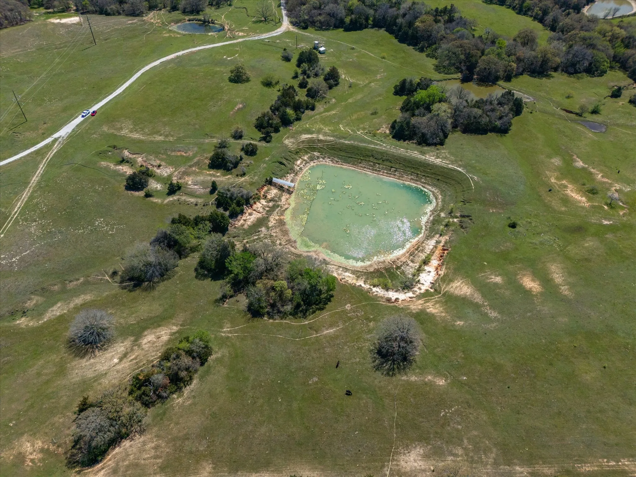 Improved Land For Sale in Wise County , 1200 County Road 2475, Alvord, Texas 76225, 0, 0, Garage spaces, 0 Sqft, built in 0, mls#21365822, Real Estate Agent in Alvord, Homes For Sale in Wise county, Homes For Sale in Alvord, Realtor in Alvord Texas, Real Estate Brokerage Independent Realty Texas, Luminita Cordes Realtor