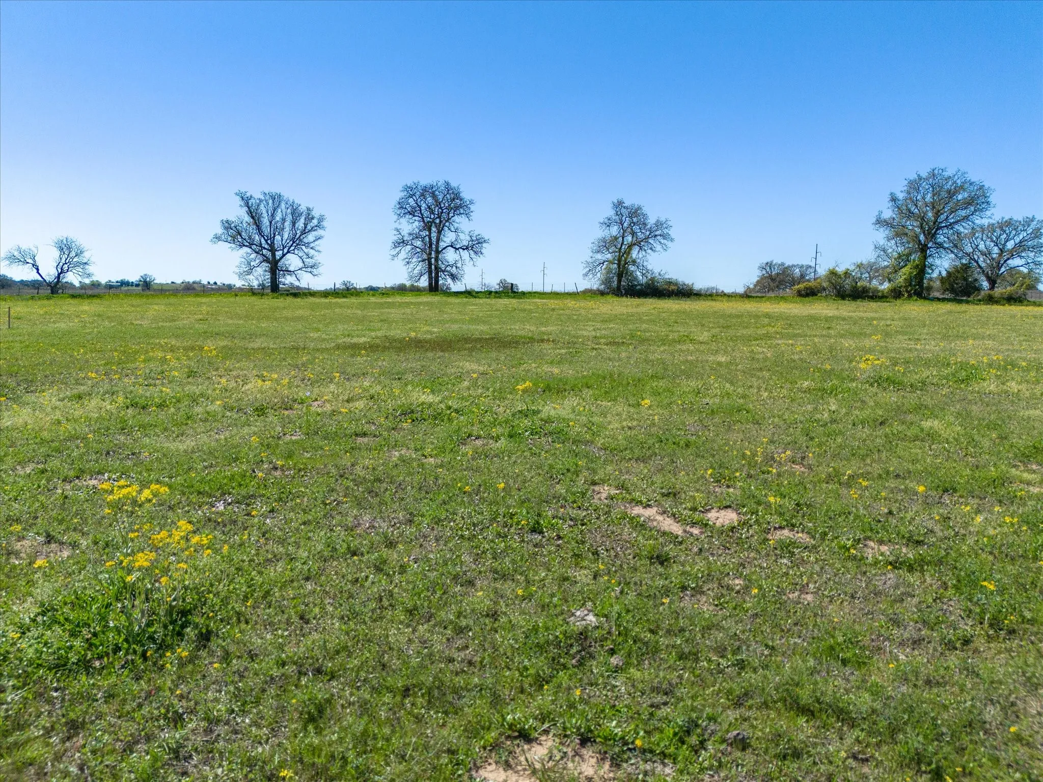Improved Land For Sale in Wise County , 1200 County Road 2475, Alvord, Texas 76225, 0, 0, Garage spaces, 0 Sqft, built in 0, mls#21365822, Real Estate Agent in Alvord, Homes For Sale in Wise county, Homes For Sale in Alvord, Realtor in Alvord Texas, Real Estate Brokerage Independent Realty Texas, Luminita Cordes Realtor