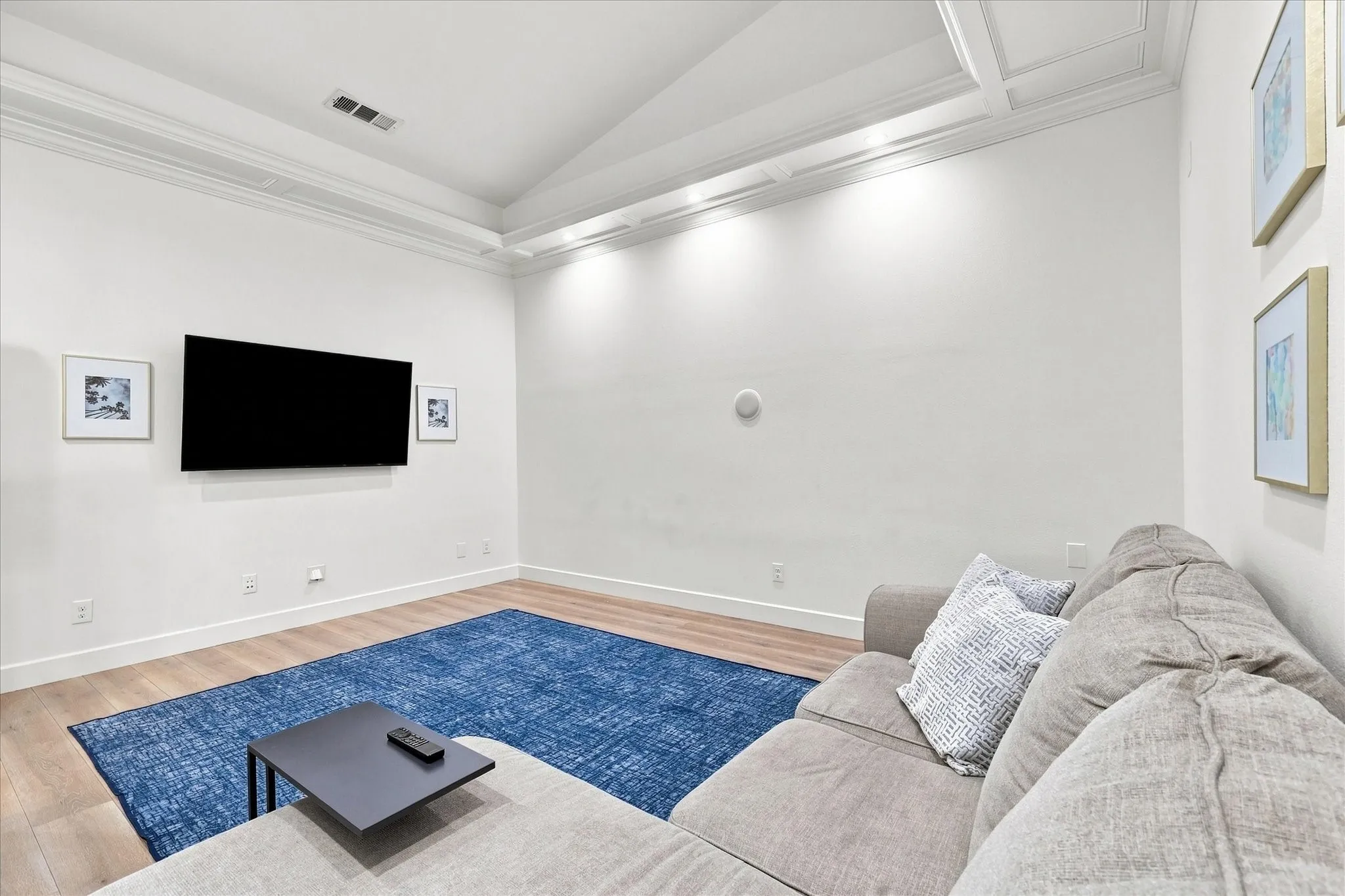 Downstairs Media Room