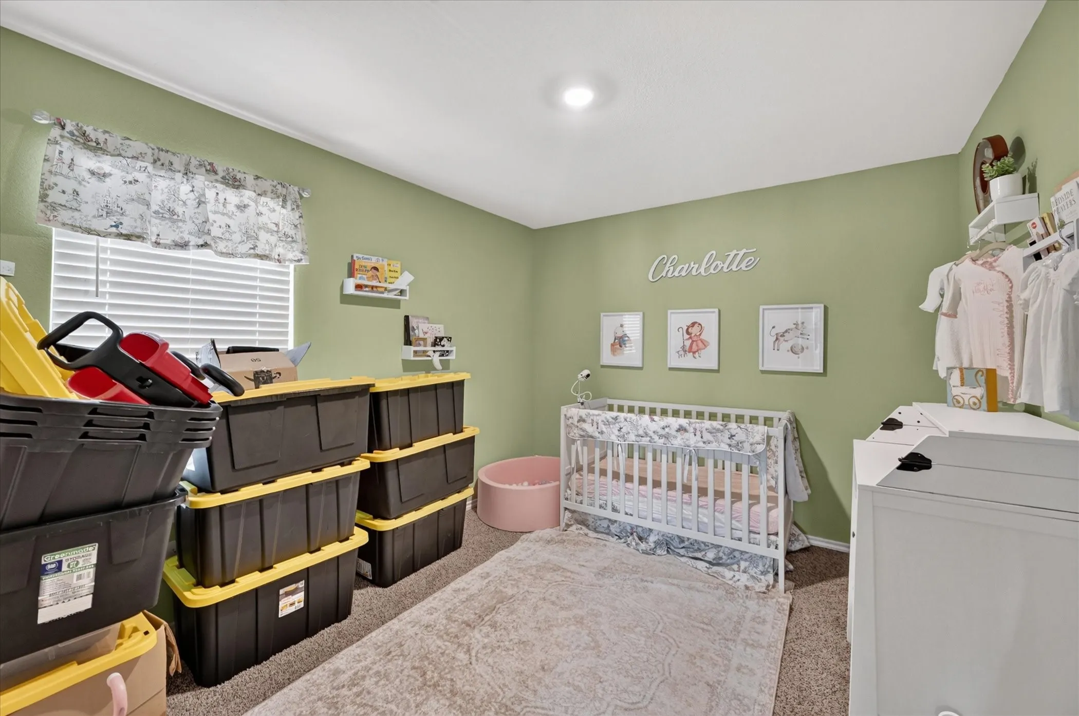Carpeted room with a single window featuring blinds, a built-in recessed ceiling light, and ample wall space