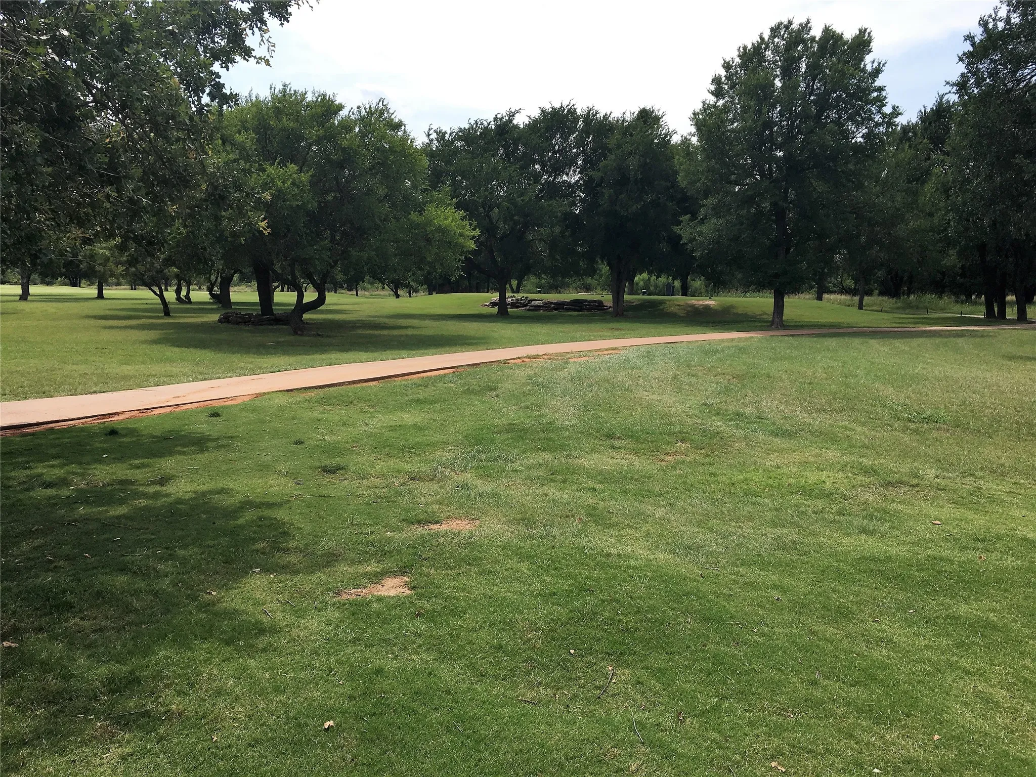 Expansive green space featuring mature trees and a paved pathway