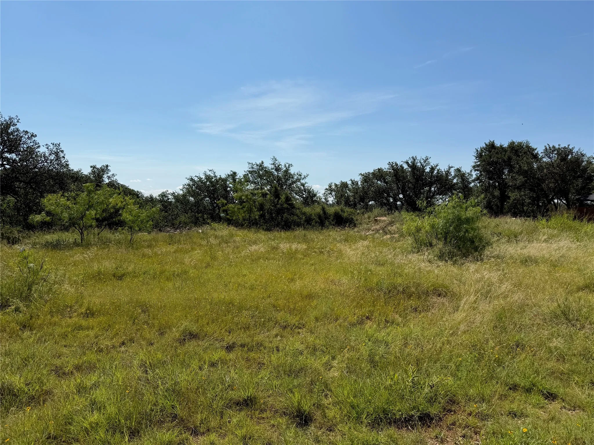 Expansive open field featuring natural grasses and mature trees at the perimeter