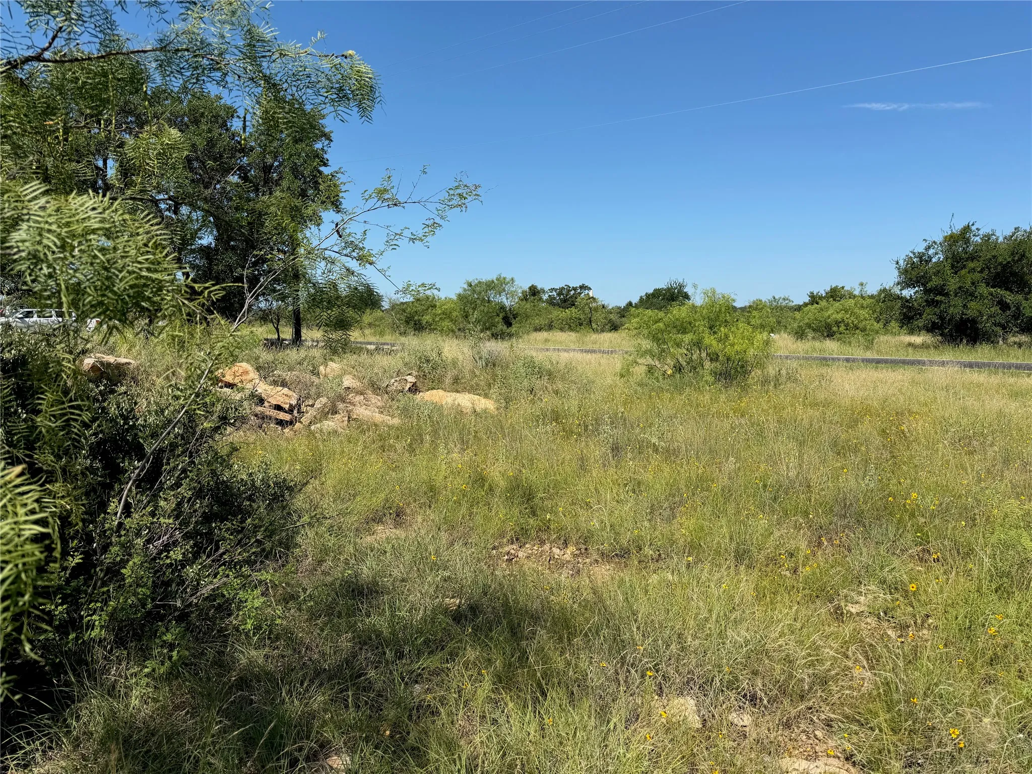 Expansive undeveloped land featuring natural vegetation and mature trees under a clear sky