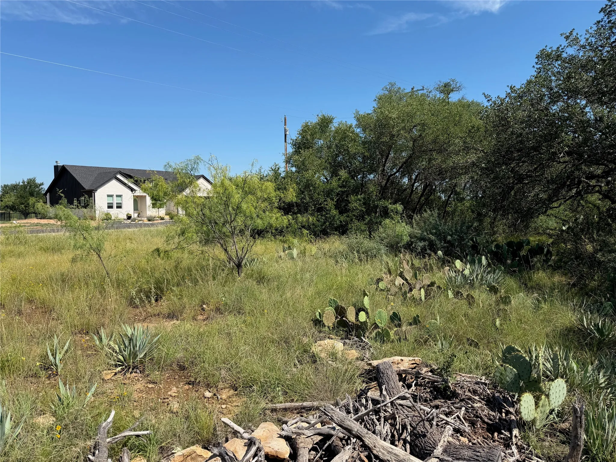 View from the back of the lot