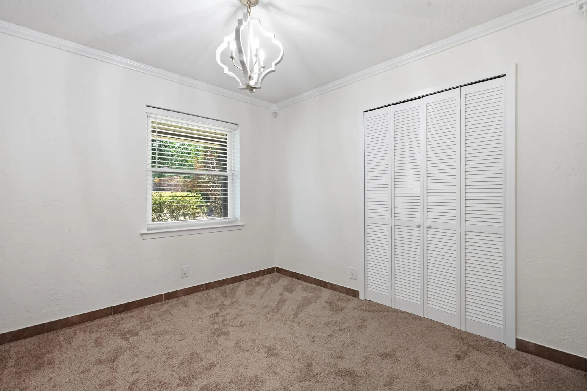 Carpeted flooring, white walls, and a window with blinds