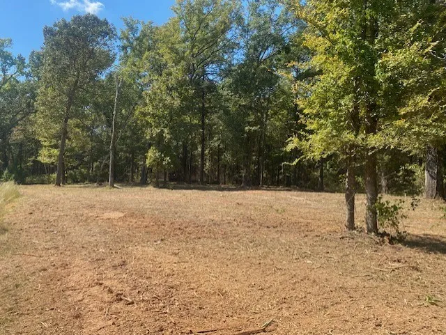 Unimproved Land For Sale in Camp County , LOT 7R-1 N Private Road 52416 Road, Leesburg, Texas 75451, 0, 0, Garage spaces, 0 Sqft, built in 0, mls#21383965, Real Estate Agent in Leesburg, Homes For Sale in Camp county, Homes For Sale in Leesburg, Realtor in Leesburg Texas, Real Estate Brokerage Independent Realty Texas, Luminita Cordes Realtor