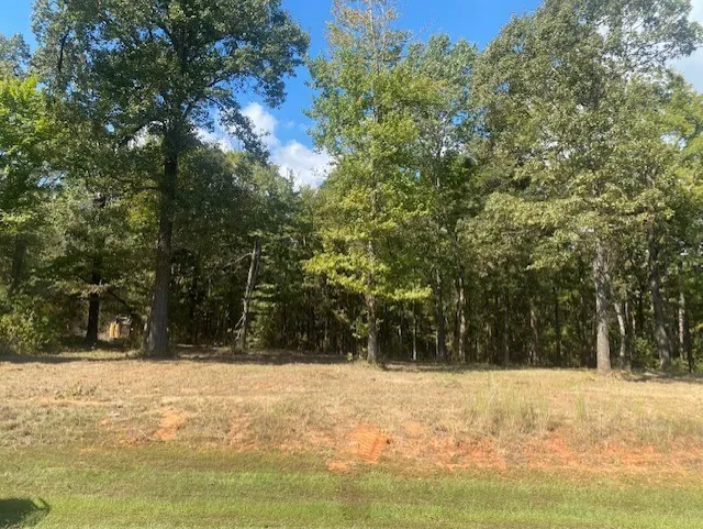 Unimproved Land For Sale in Camp County , LOT 7R-1 N Private Road 52416 Road, Leesburg, Texas 75451, 0, 0, Garage spaces, 0 Sqft, built in 0, mls#21383965, Real Estate Agent in Leesburg, Homes For Sale in Camp county, Homes For Sale in Leesburg, Realtor in Leesburg Texas, Real Estate Brokerage Independent Realty Texas, Luminita Cordes Realtor