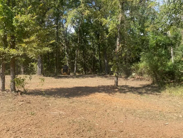 Unimproved Land For Sale in Camp County , LOT 7R-1 N Private Road 52416 Road, Leesburg, Texas 75451, 0, 0, Garage spaces, 0 Sqft, built in 0, mls#21383965, Real Estate Agent in Leesburg, Homes For Sale in Camp county, Homes For Sale in Leesburg, Realtor in Leesburg Texas, Real Estate Brokerage Independent Realty Texas, Luminita Cordes Realtor