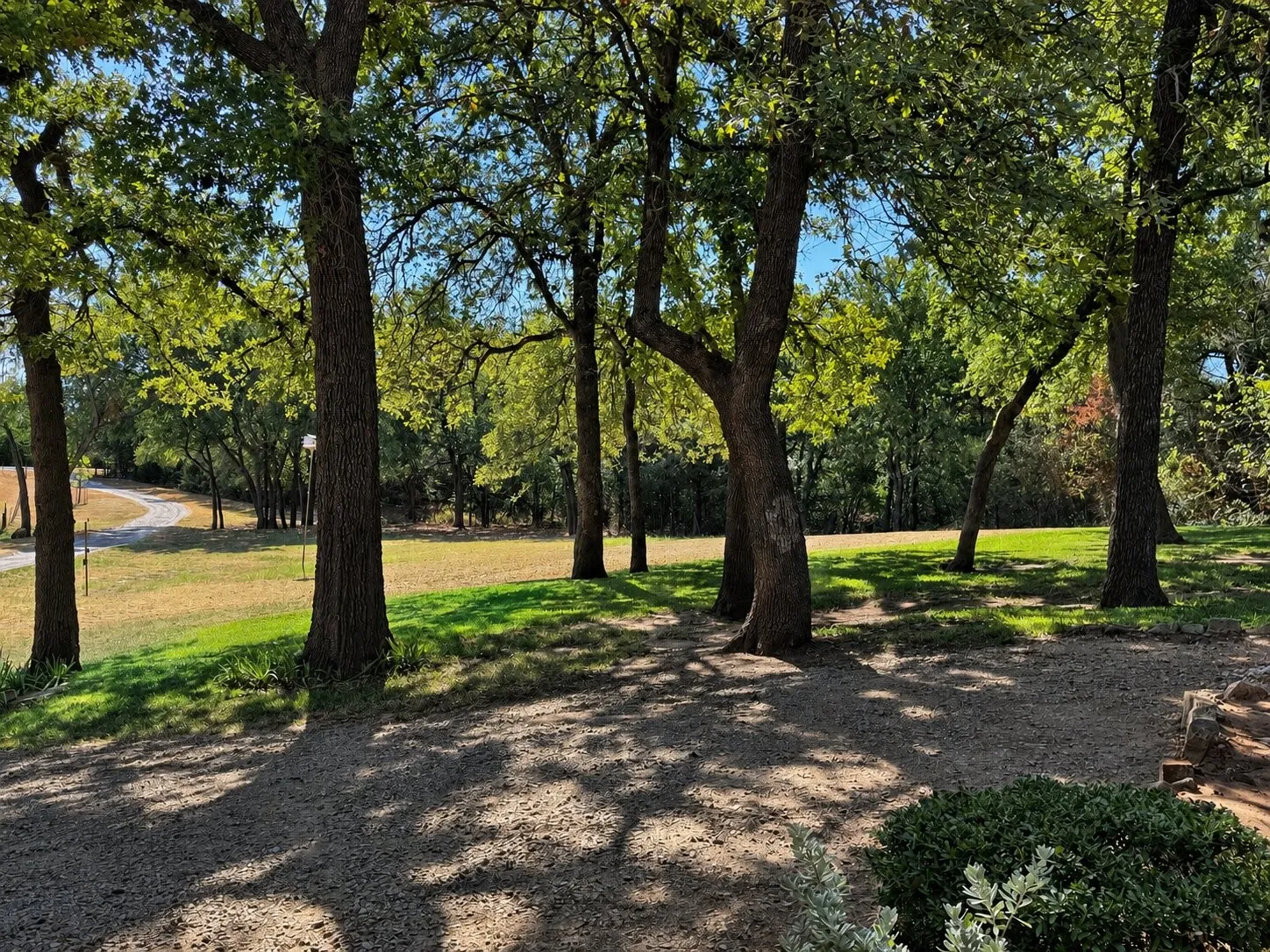 FRONT YARD VIEW SHADED BY MATURE OAKS
