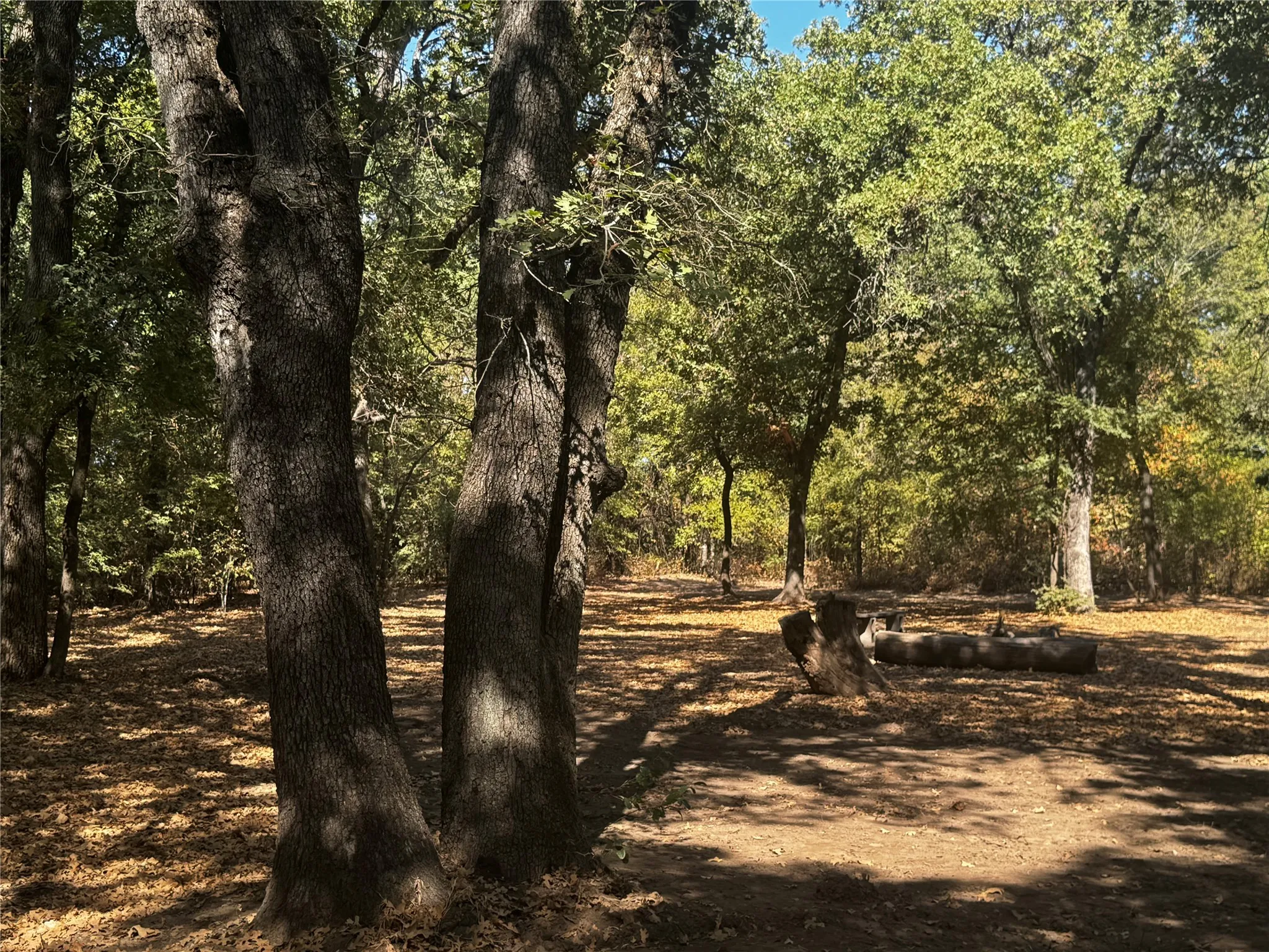 VIEW FACING WEST SIDE TOWARD BACK OF THE PROPERTY -FIRE PIT IN DISTANCE