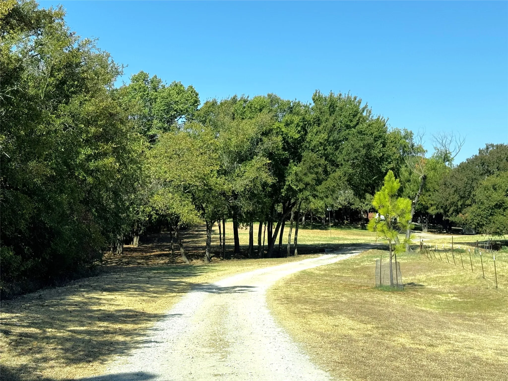 ENTRY DRIVE VIEW