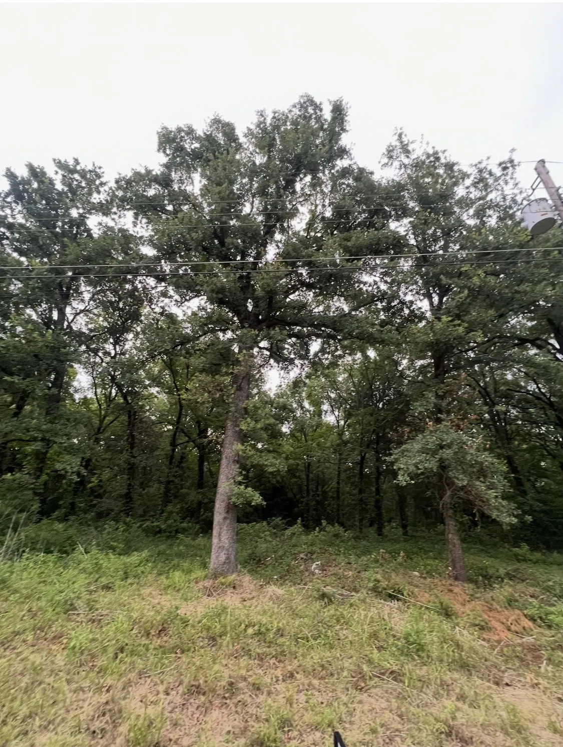 Unimproved Land For Sale in Henderson County , 115 Inca Trail, Mabank, Texas 75156, 0, 0, Garage spaces, 0 Sqft, built in 0, mls#21383974, Real Estate Agent in Mabank, Homes For Sale in Henderson county, Homes For Sale in Mabank, Realtor in Mabank Texas, Real Estate Brokerage Independent Realty Texas, Luminita Cordes Realtor