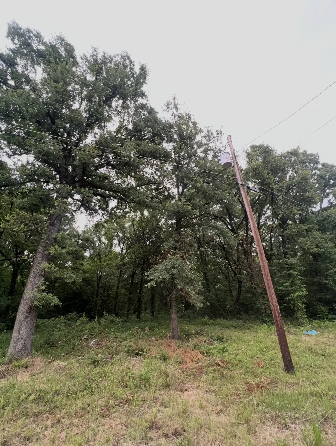 Unimproved Land For Sale in Henderson County , 117 Inca Trail, Mabank, Texas 75156, 0, 0, Garage spaces, 0 Sqft, built in 0, mls#21383976, Real Estate Agent in Mabank, Homes For Sale in Henderson county, Homes For Sale in Mabank, Realtor in Mabank Texas, Real Estate Brokerage Independent Realty Texas, Luminita Cordes Realtor
