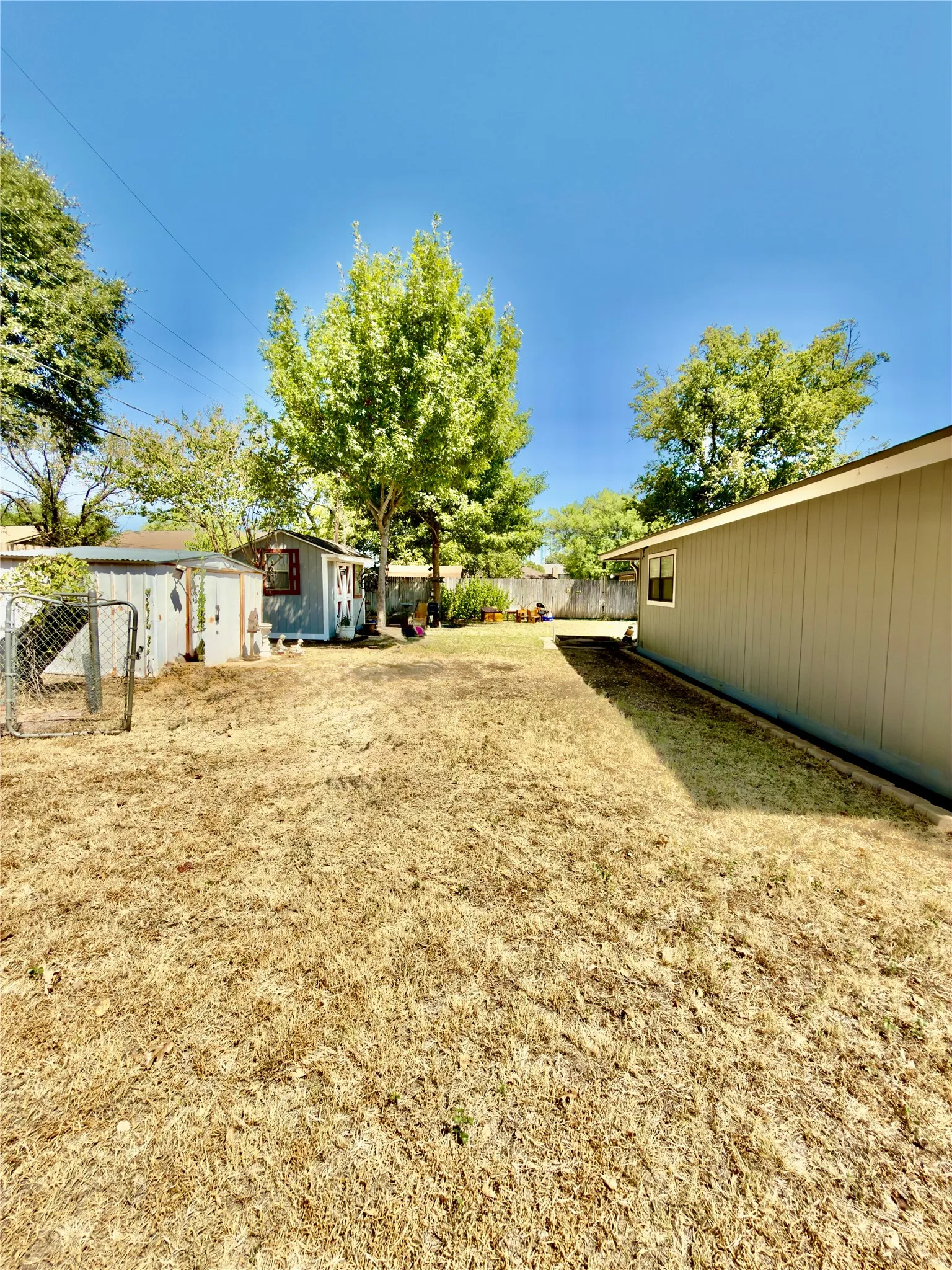 Backyard