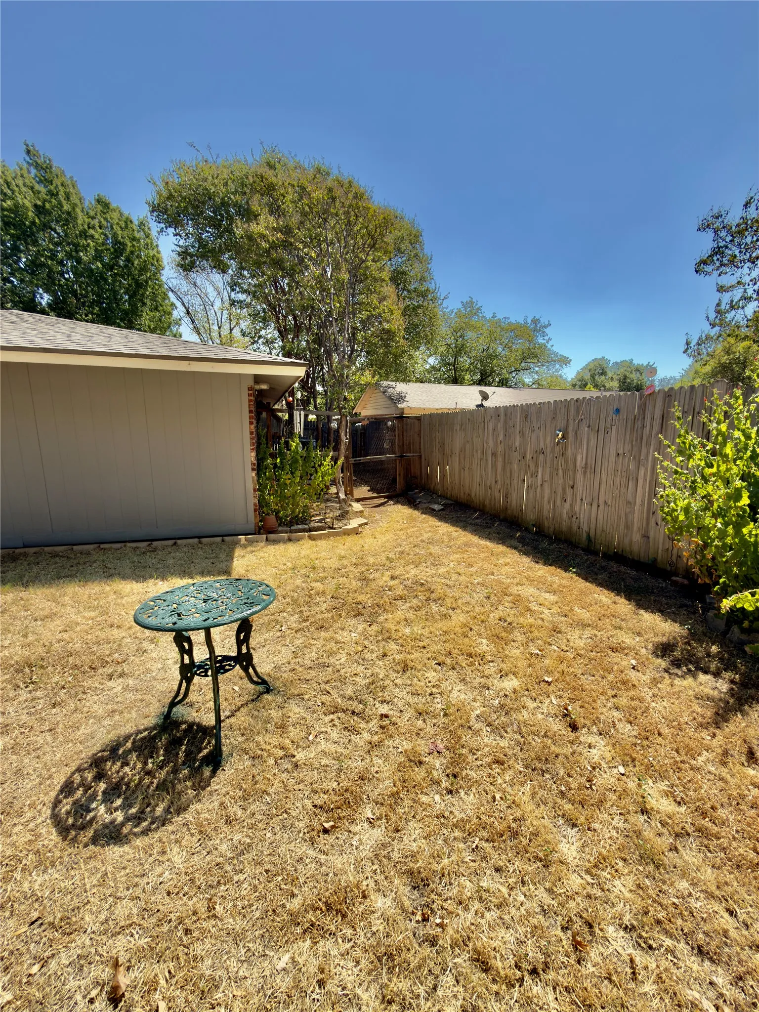 Backyard